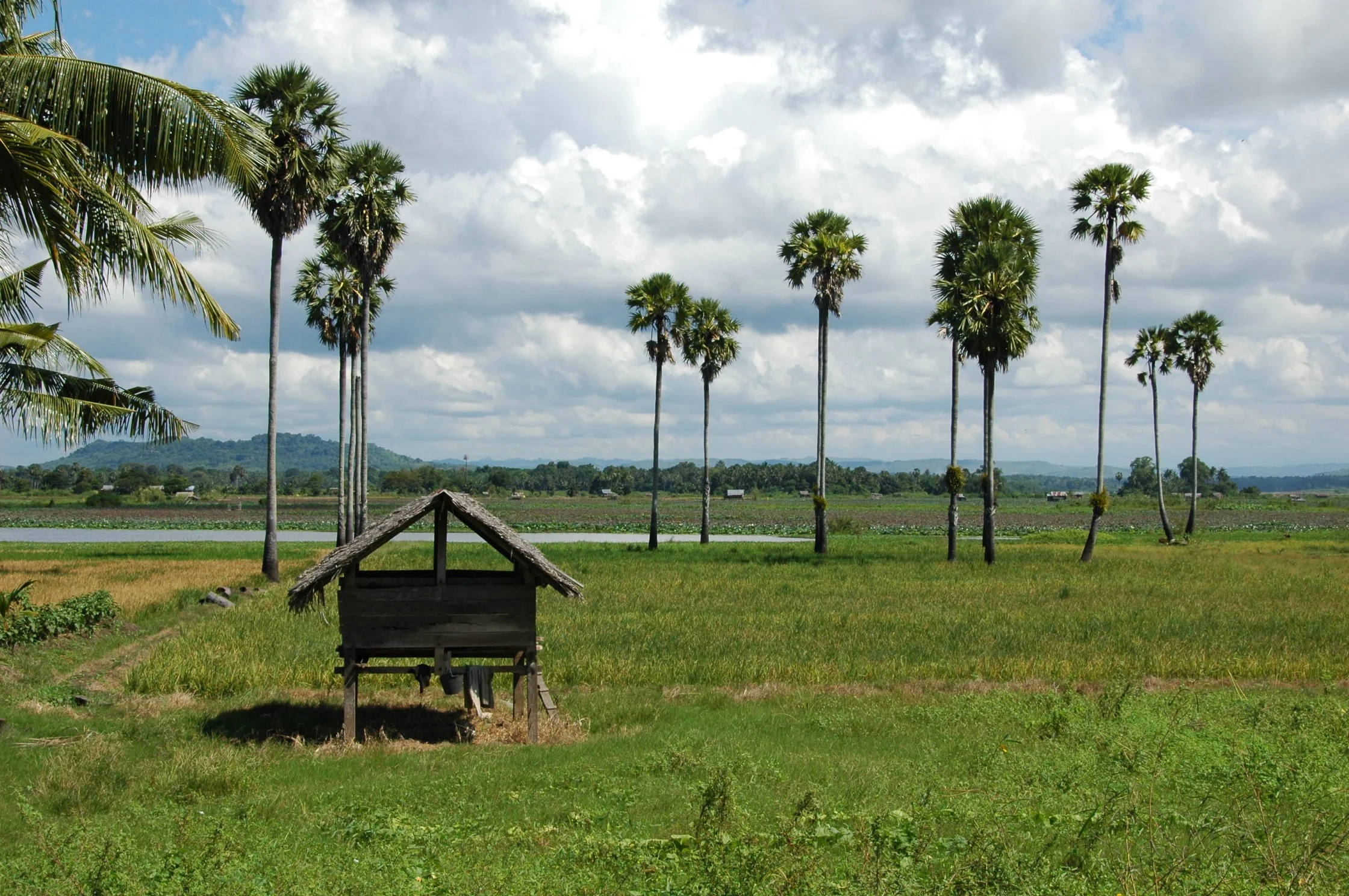 On the way to Bira.JPG