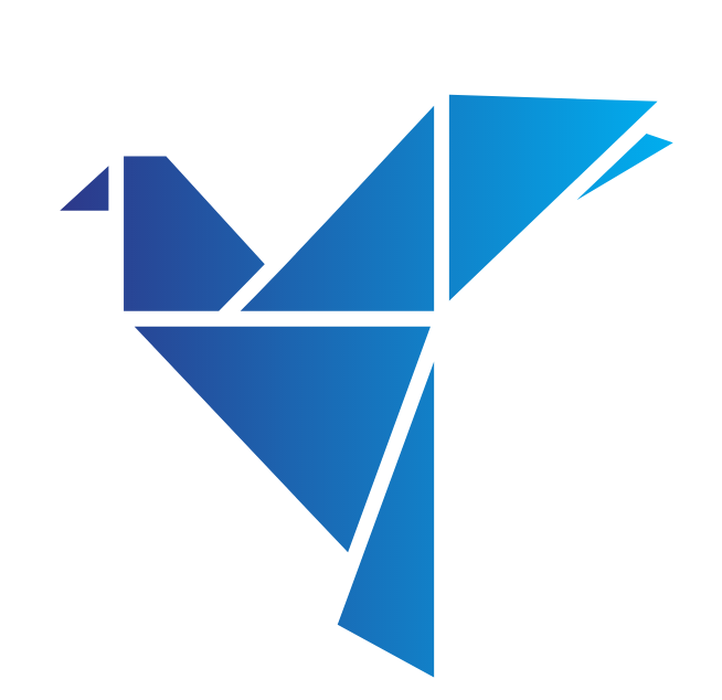 New Dawn Media Group
