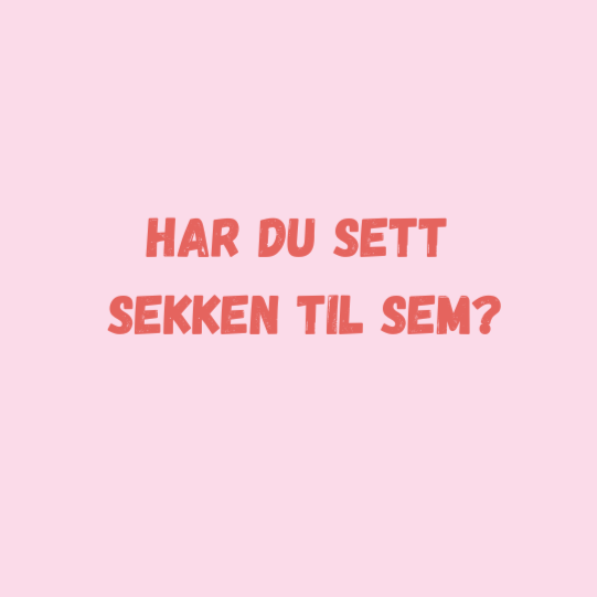 Forsvunnet sekk