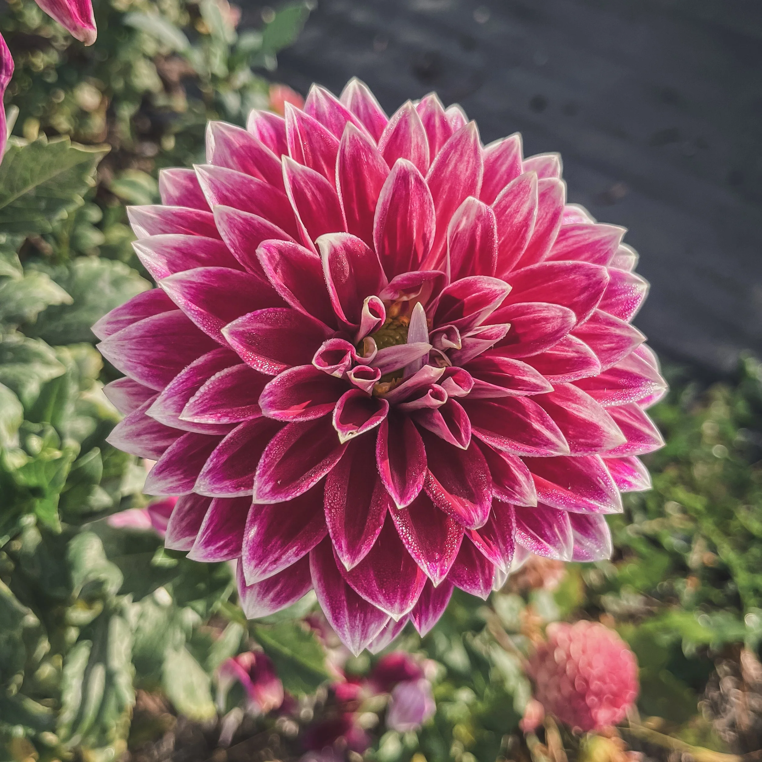 Bradley Aaron_25.jpg