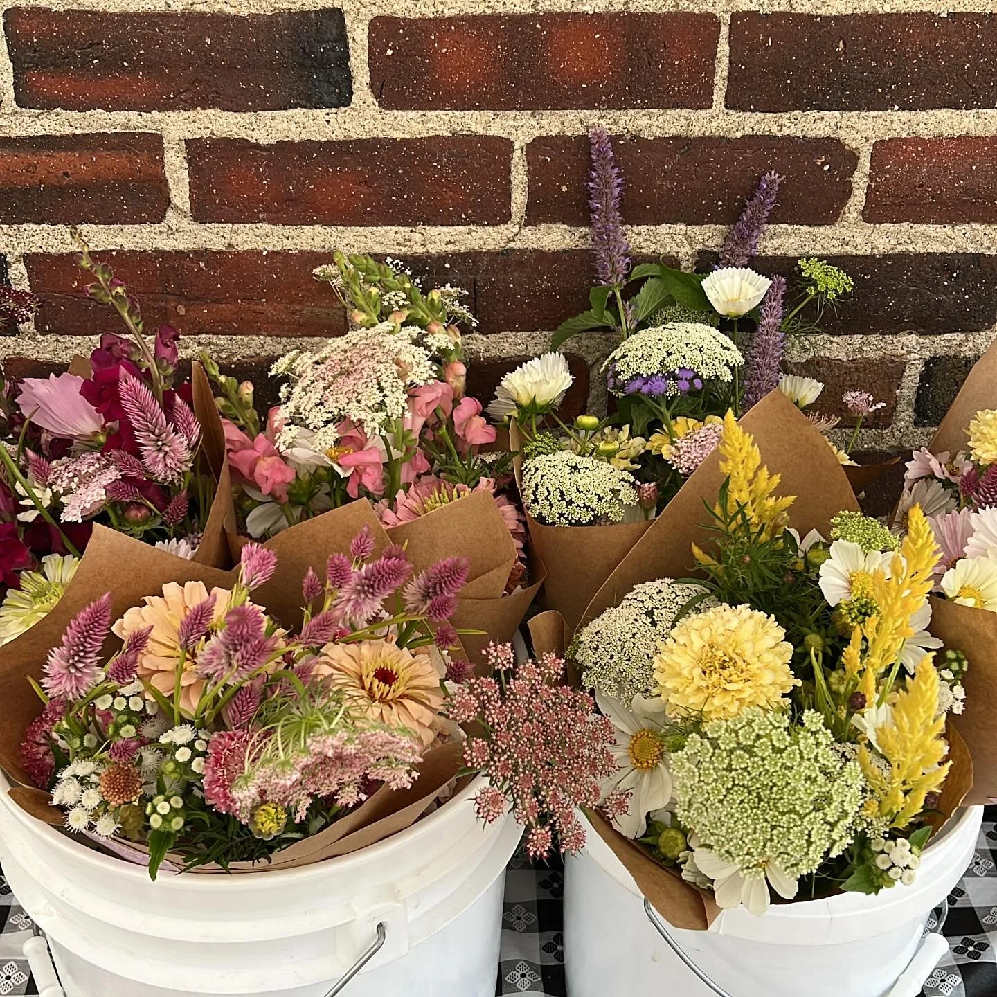 Late August bouquets at the Saturday Farmer&rsquo;s &amp; Artisan Market.
