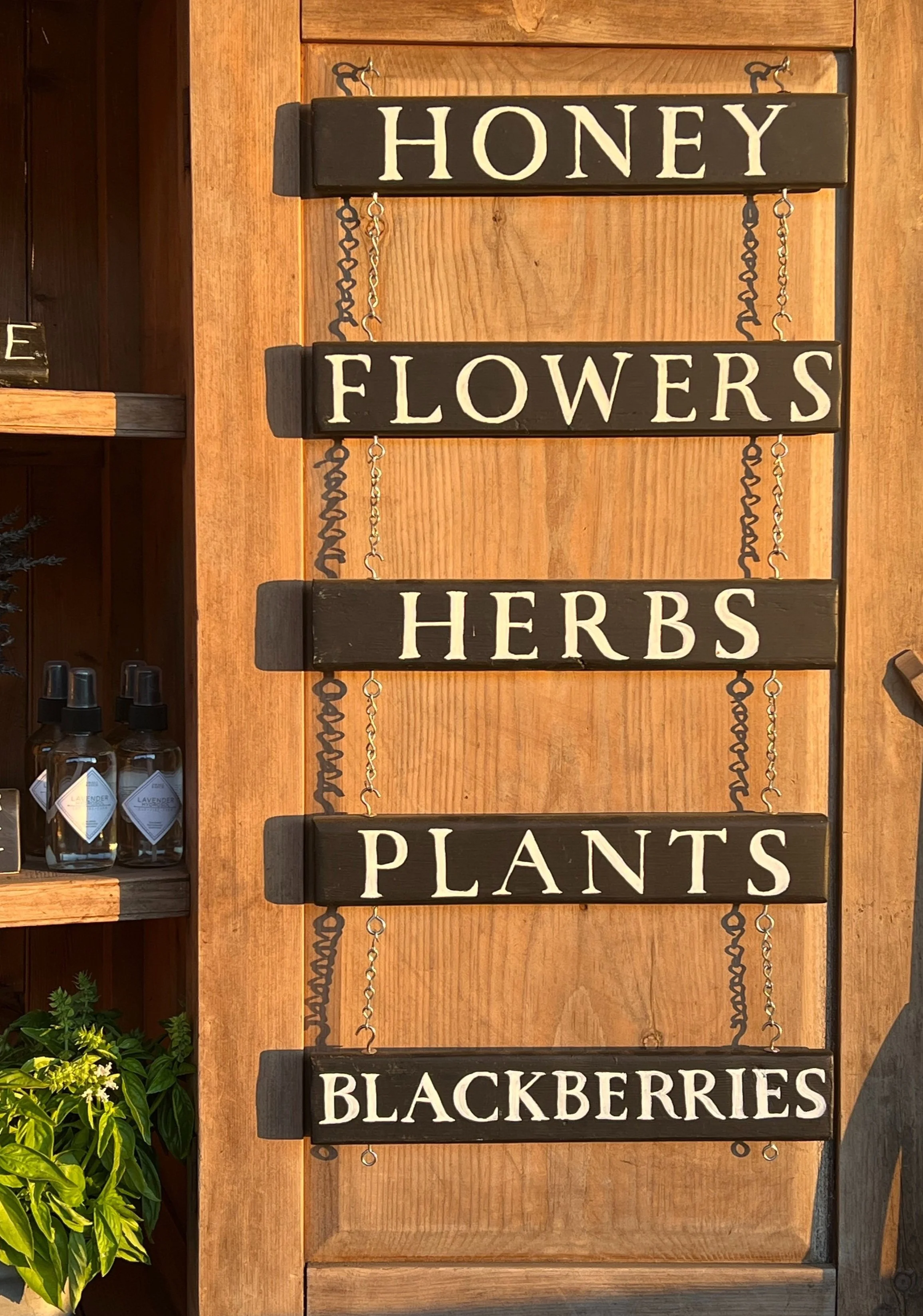 Our farm stand, displaying the words 'HONEY,' 'FLOWERS,' 'HERBS,' 'PLANTS,' and 'BLACKBERRIES' in the August afternoon sunlight.