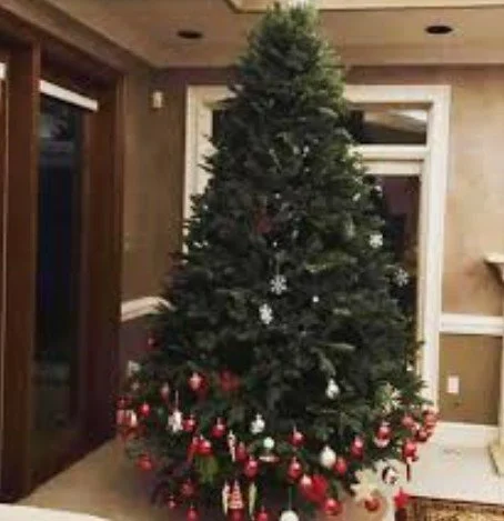 Deck the Halls, Adaptive-Style: Taking Back the Tree (and Beyond)