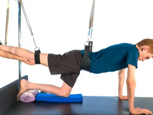 The Full Spectrum of Fitness: Programs for Every Body in NorCal