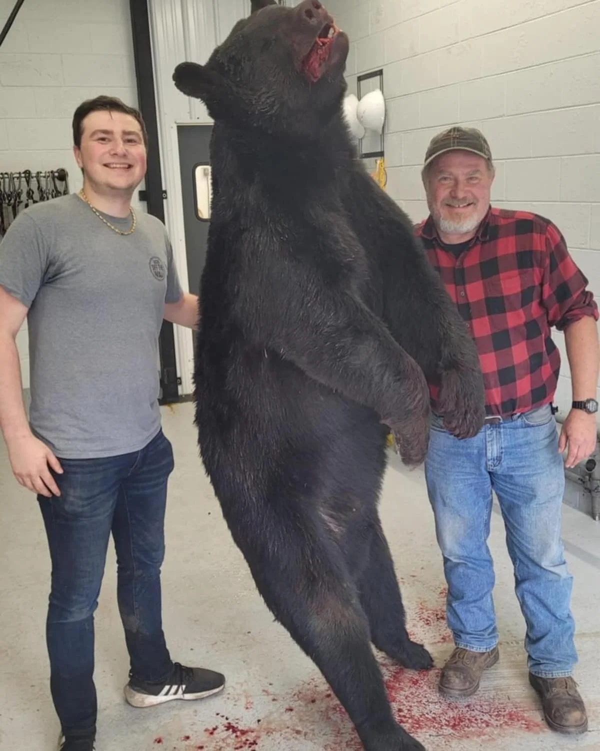78 - Smoked Bear Steak
