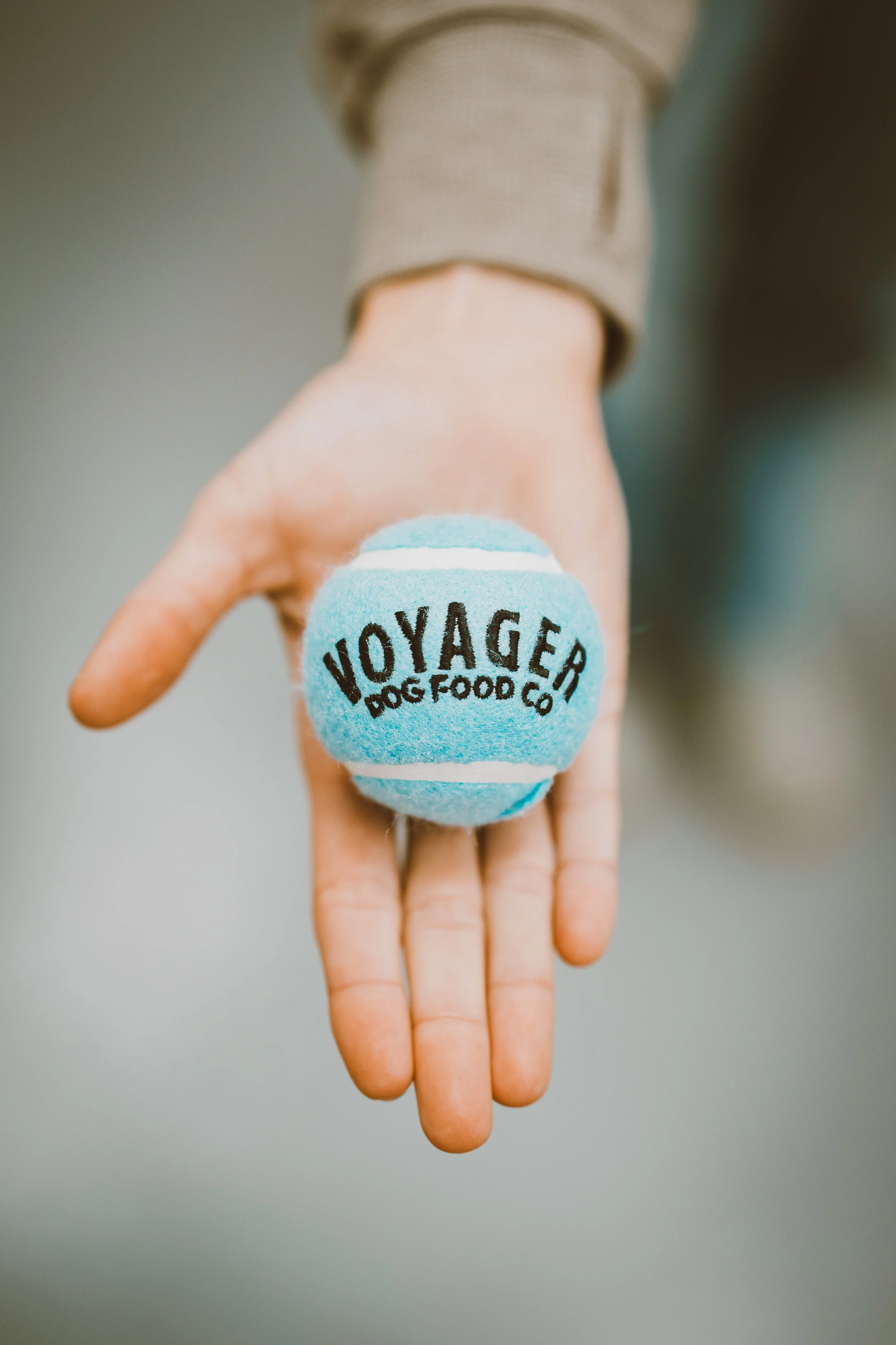 Voyager Tennis Ball in Hand