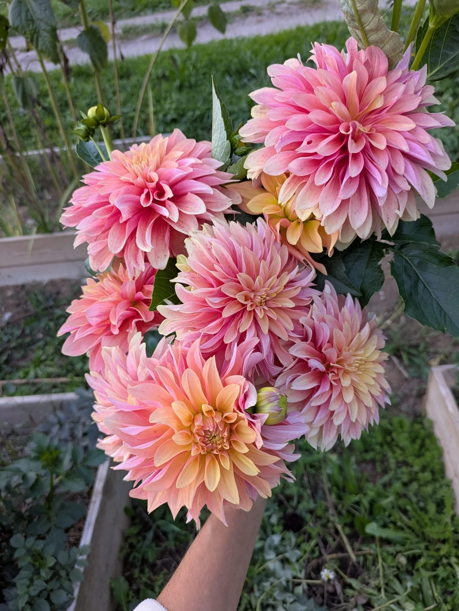 WhatsApp Image 2026-03-29 at 19.42.30.jpeg