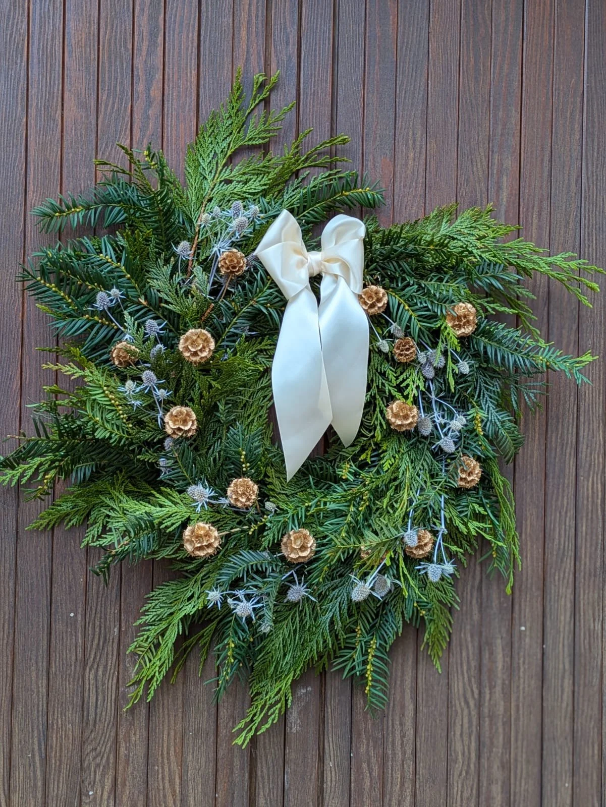 WhatsApp Image 2025-12-05 at 11.38.44.jpeg