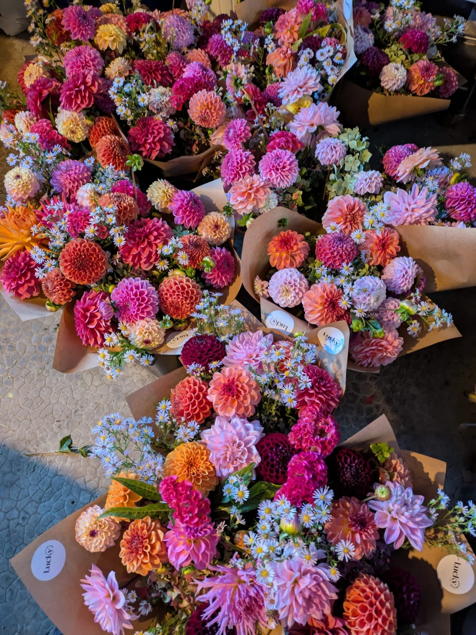 WhatsApp Image 2025-11-22 at 15.42.14.jpeg