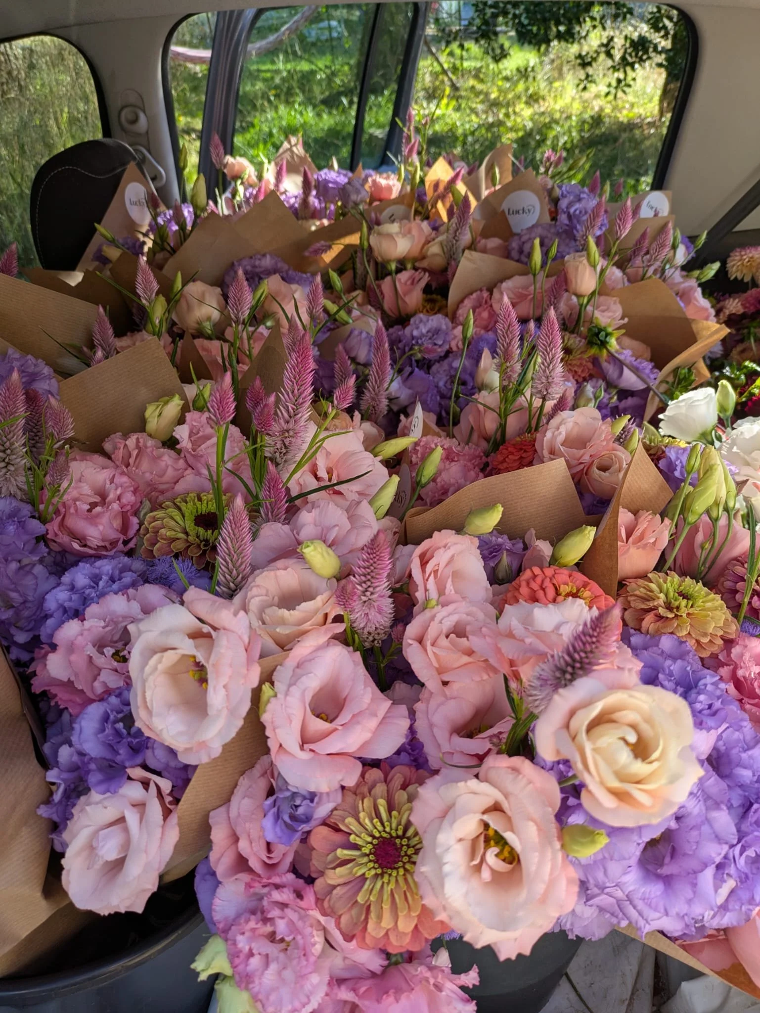 WhatsApp Image 2025-08-07 at 12.17.06 (8).jpeg