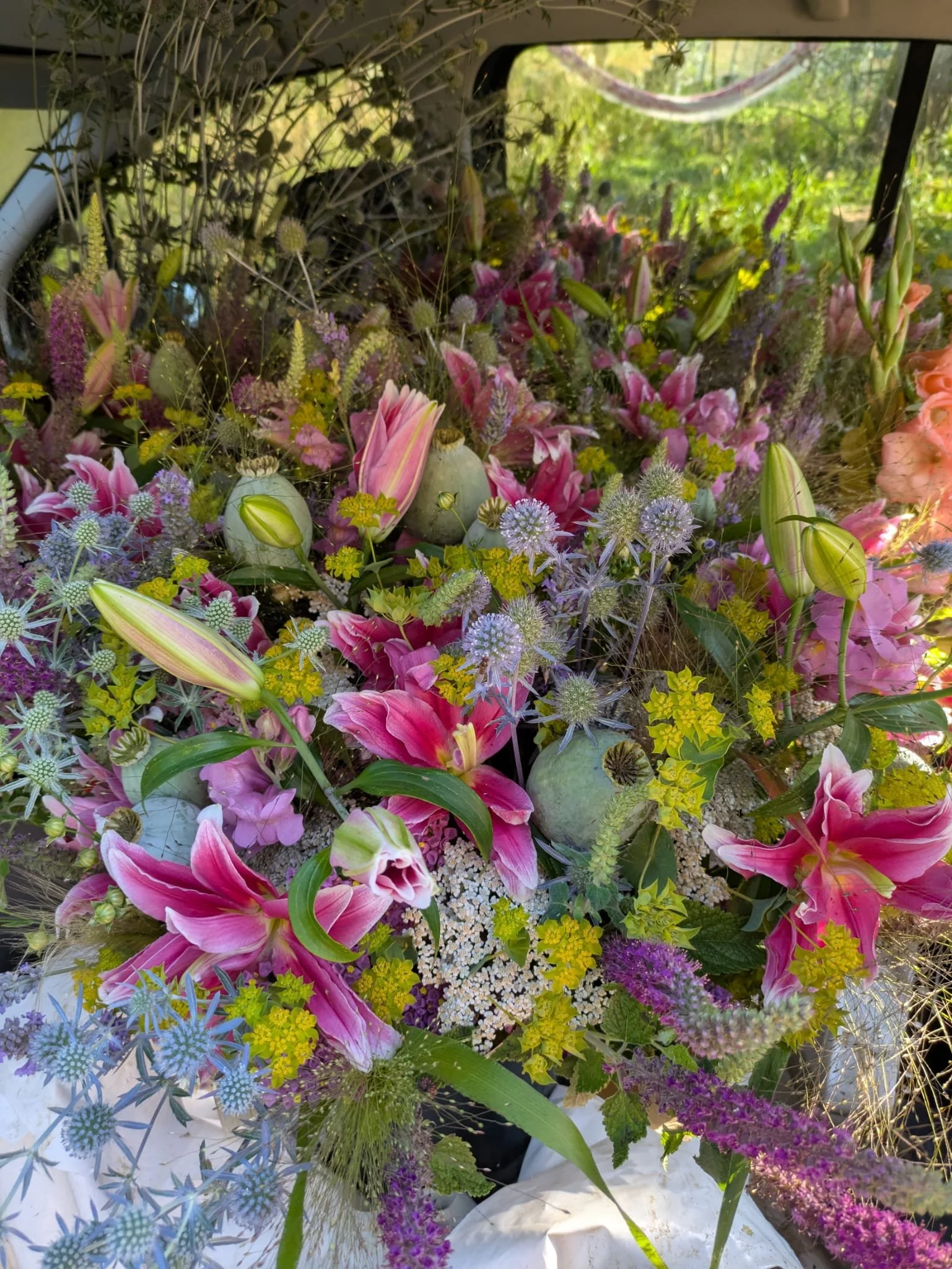 WhatsApp Image 2025-11-22 at 15.39.30.jpeg