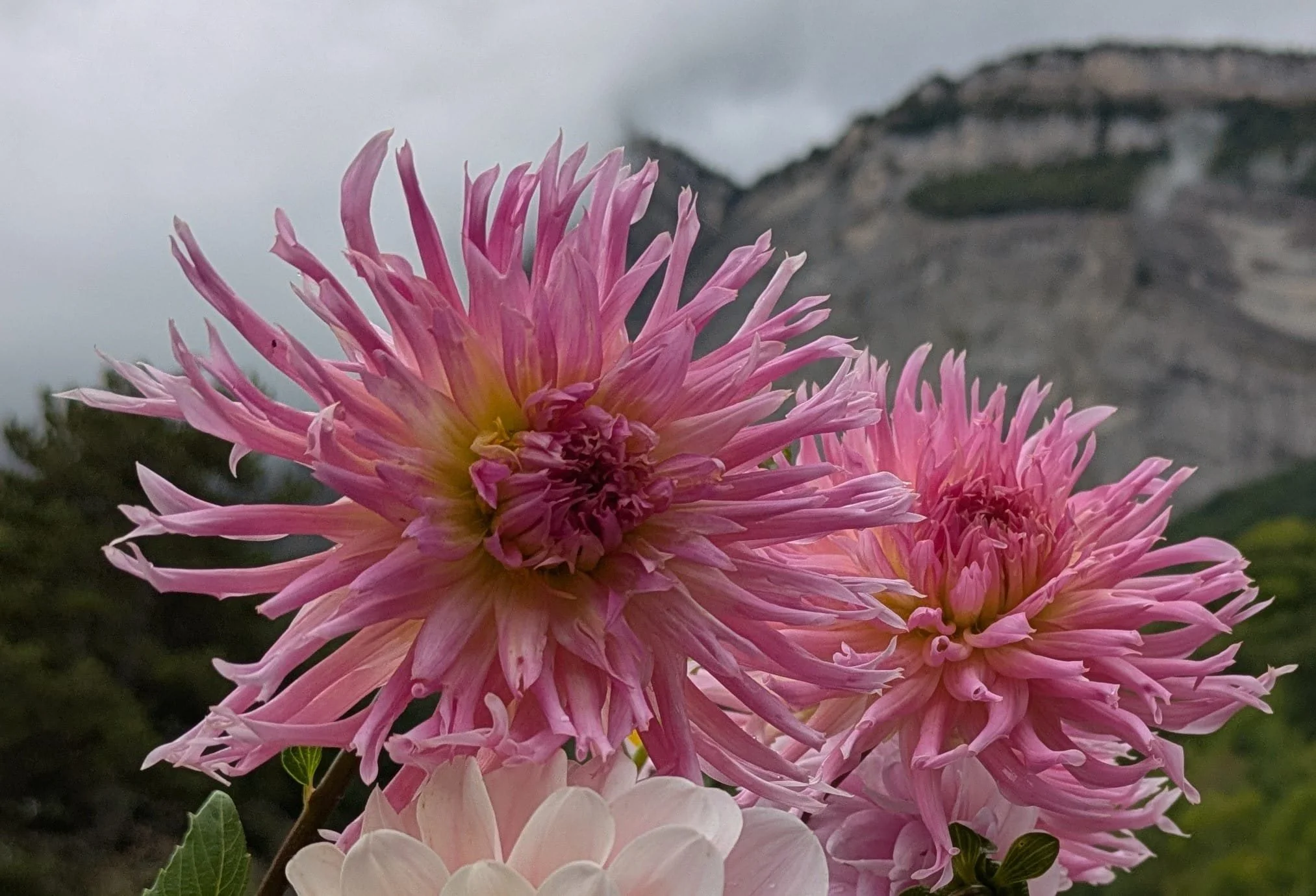 WhatsApp Image 2026-03-29 at 19.43.28.jpeg