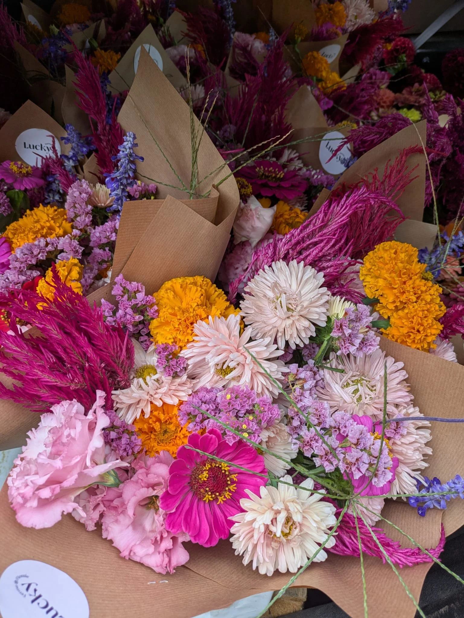 WhatsApp Image 2025-11-22 at 15.41.28.jpeg