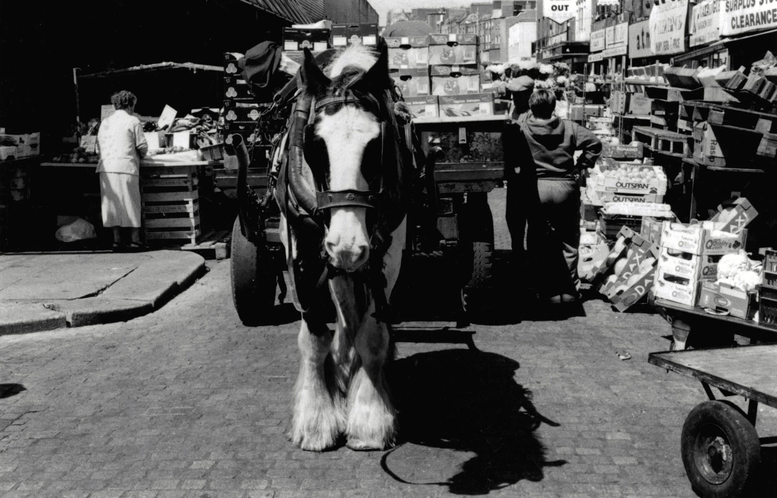 Market. Dublin, Ireland. 2003
