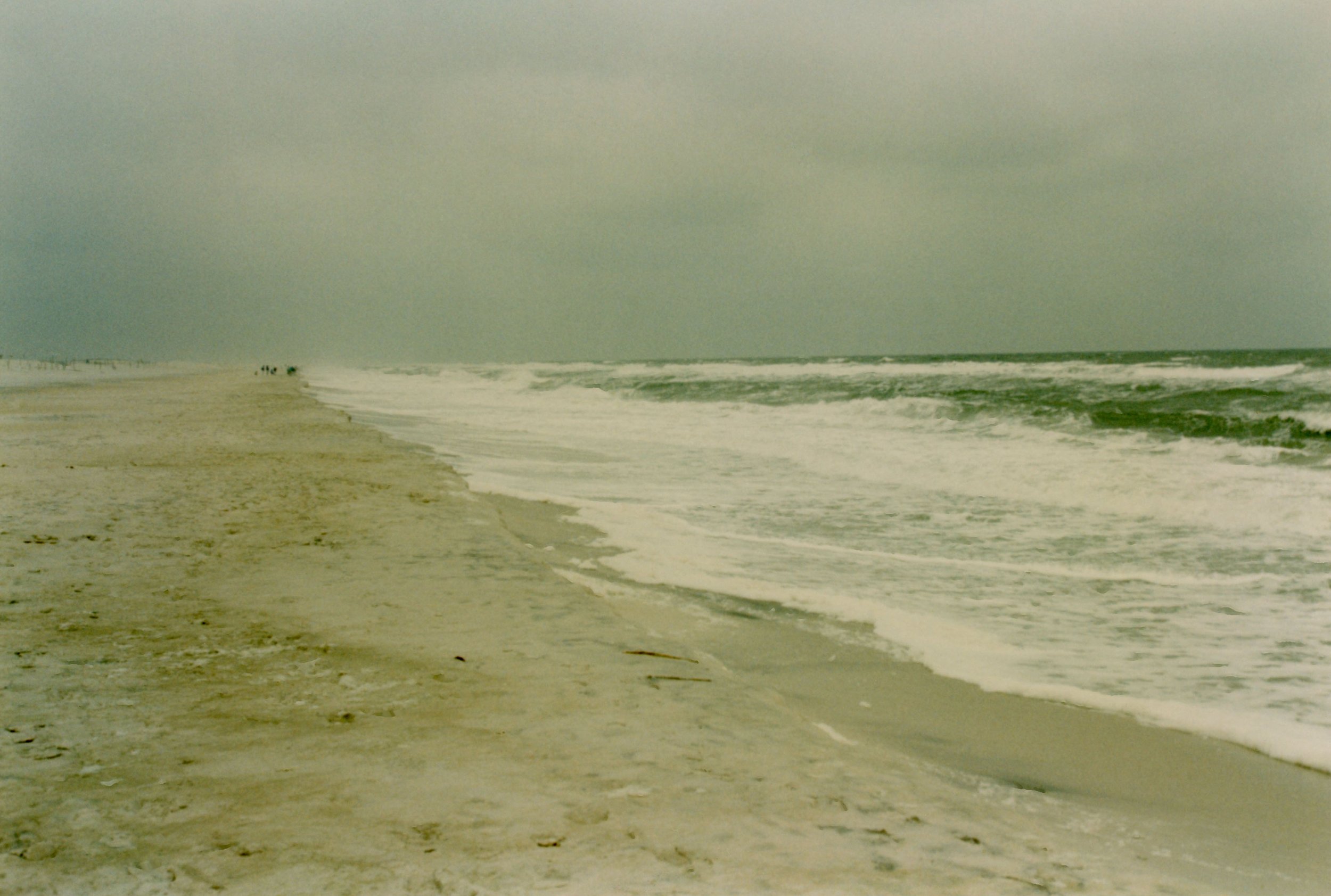 Assateague Island