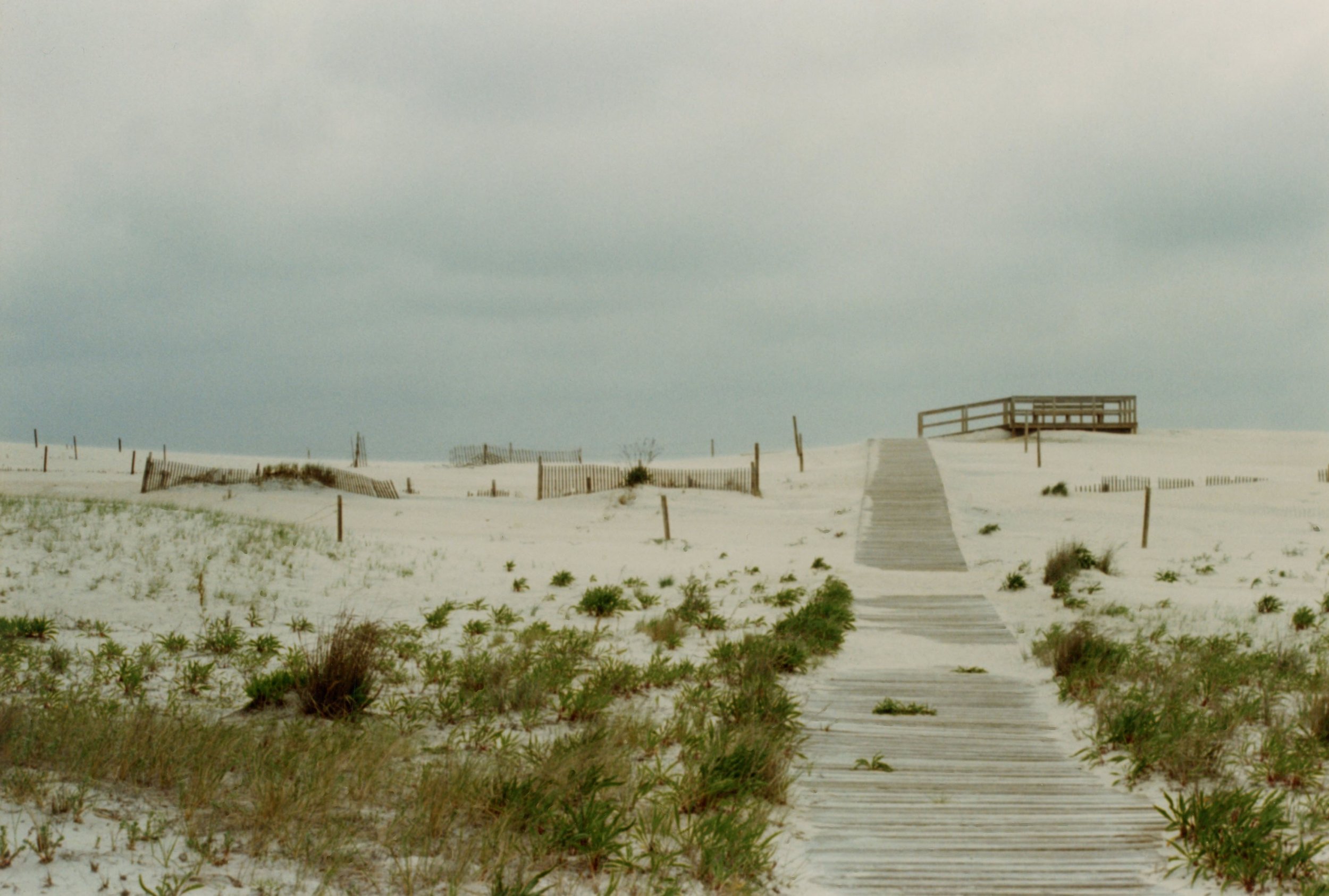 Assateague Island