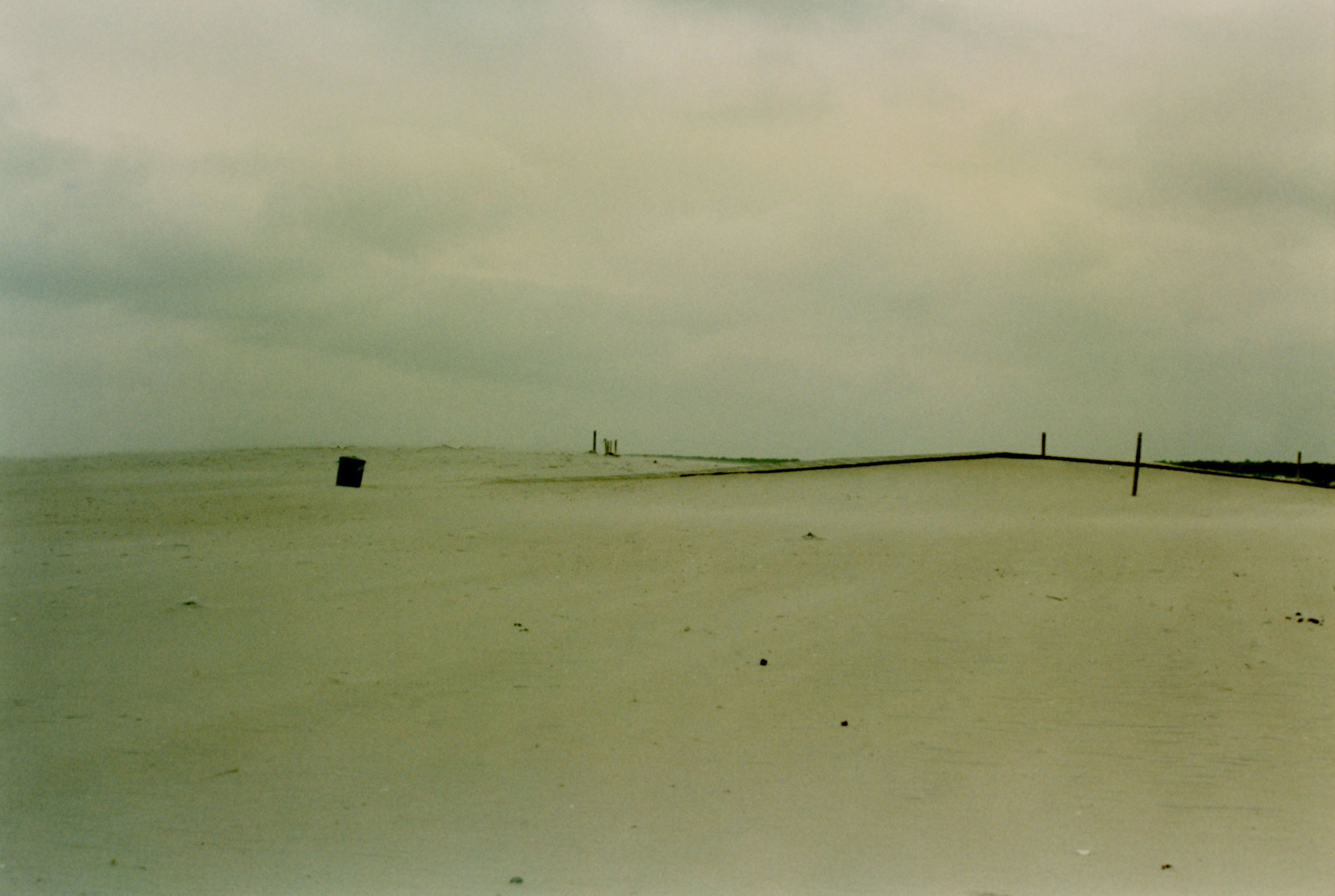 Assateague Island
