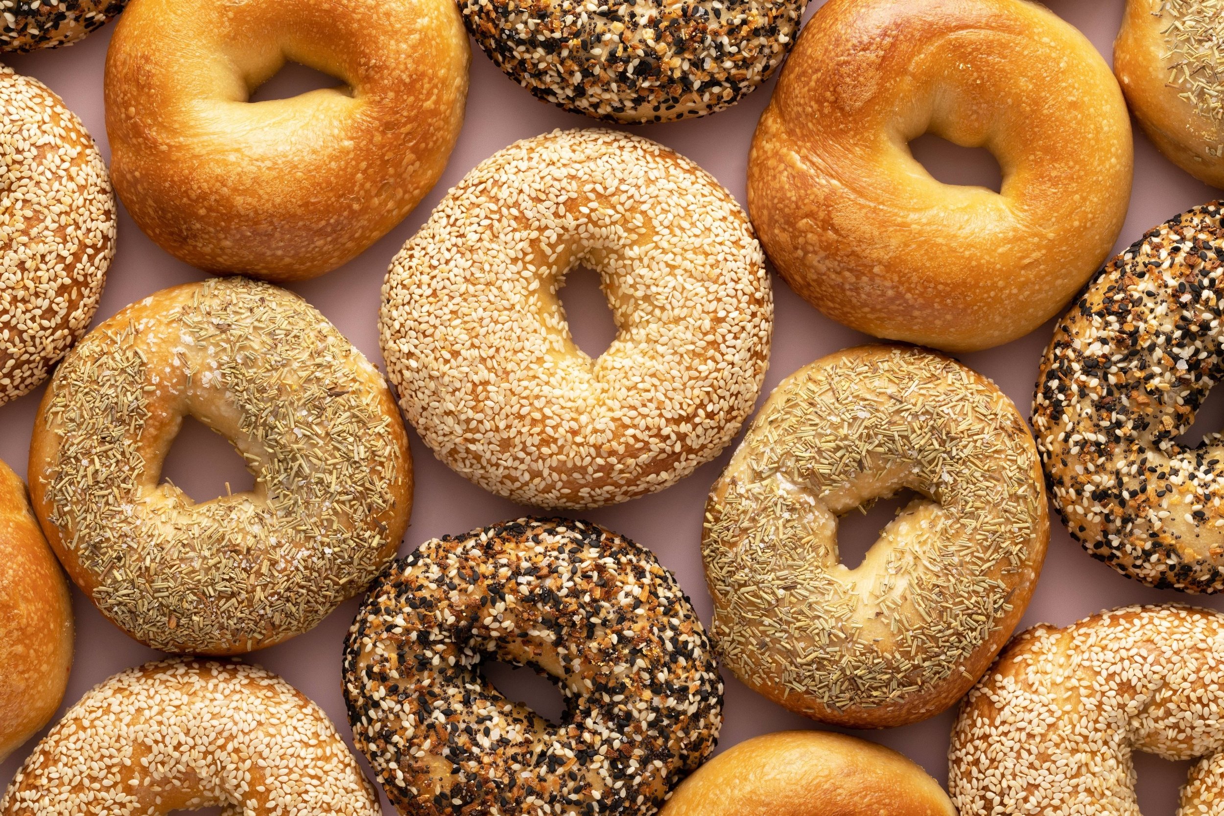 Bears Bagels