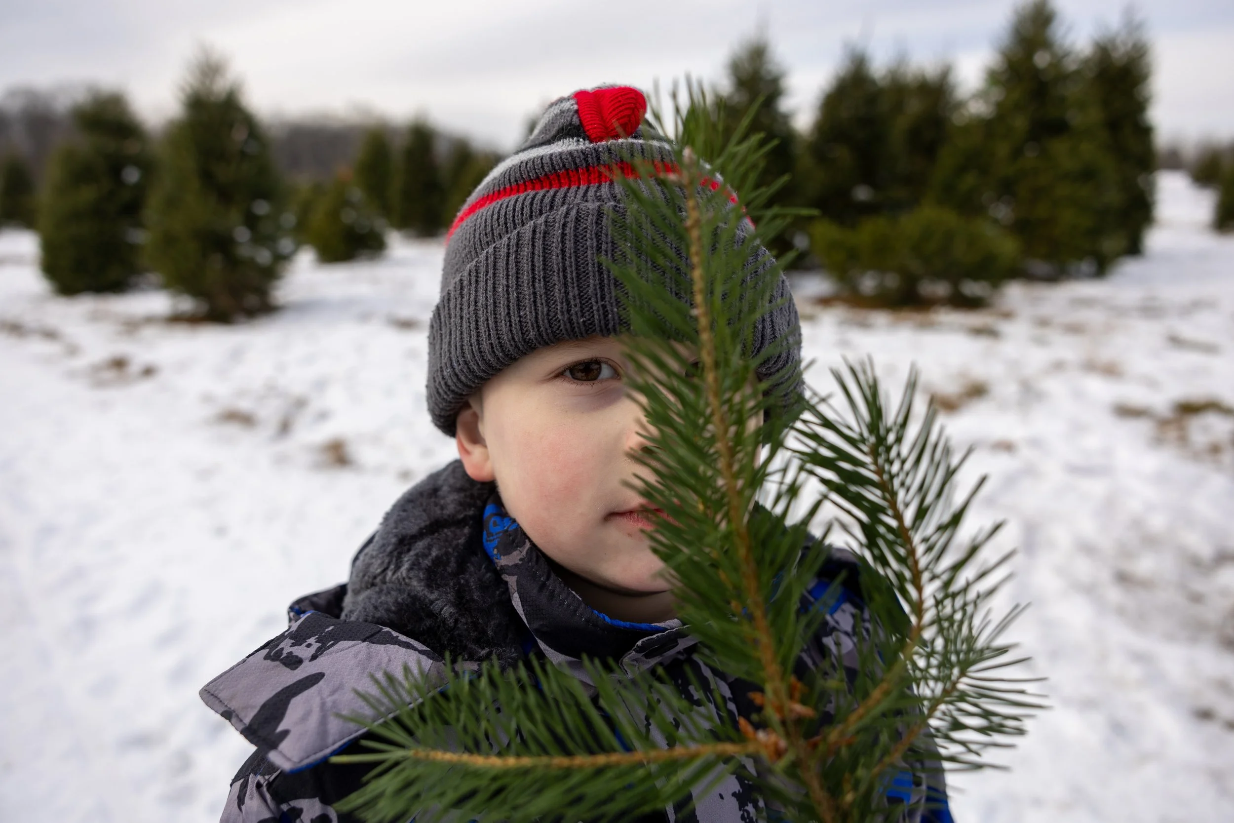 Young and Ferrari - 12-6-25 - Old Homestead Tree Farm--19.jpg