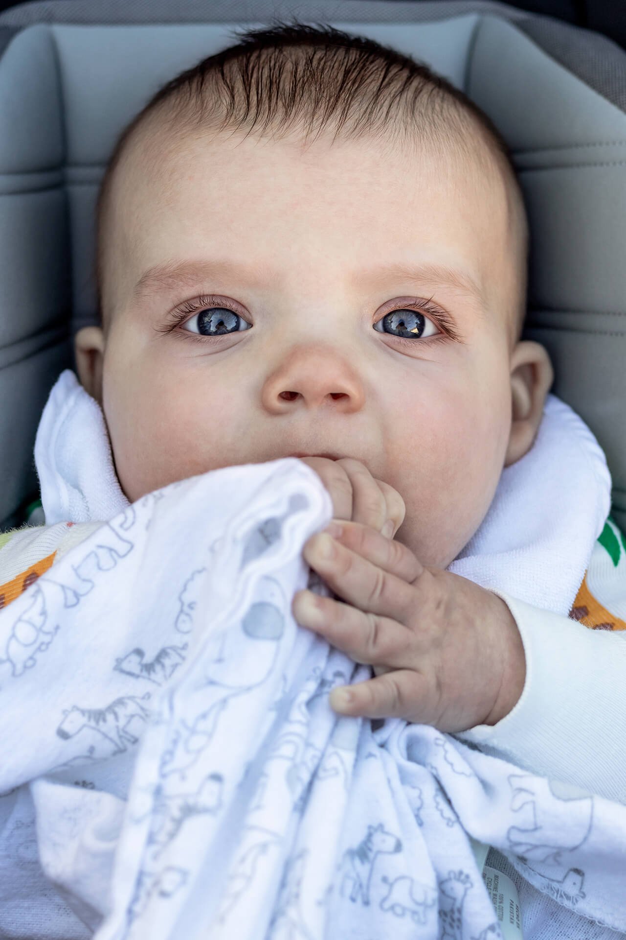 Isabelle5mo_1_website.jpg