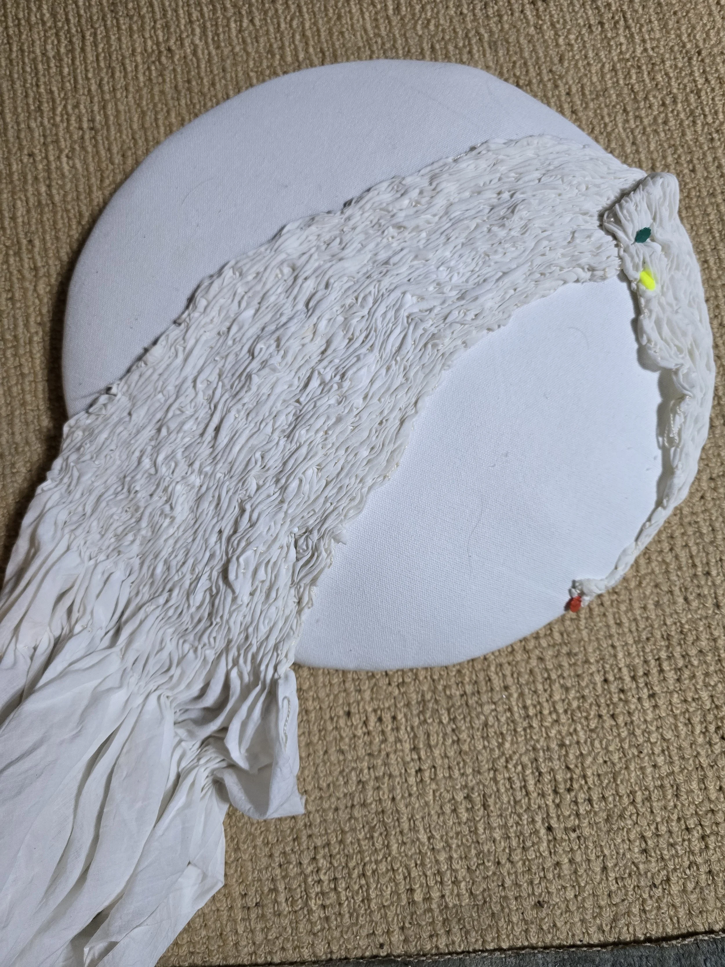 20251210_210629.jpg