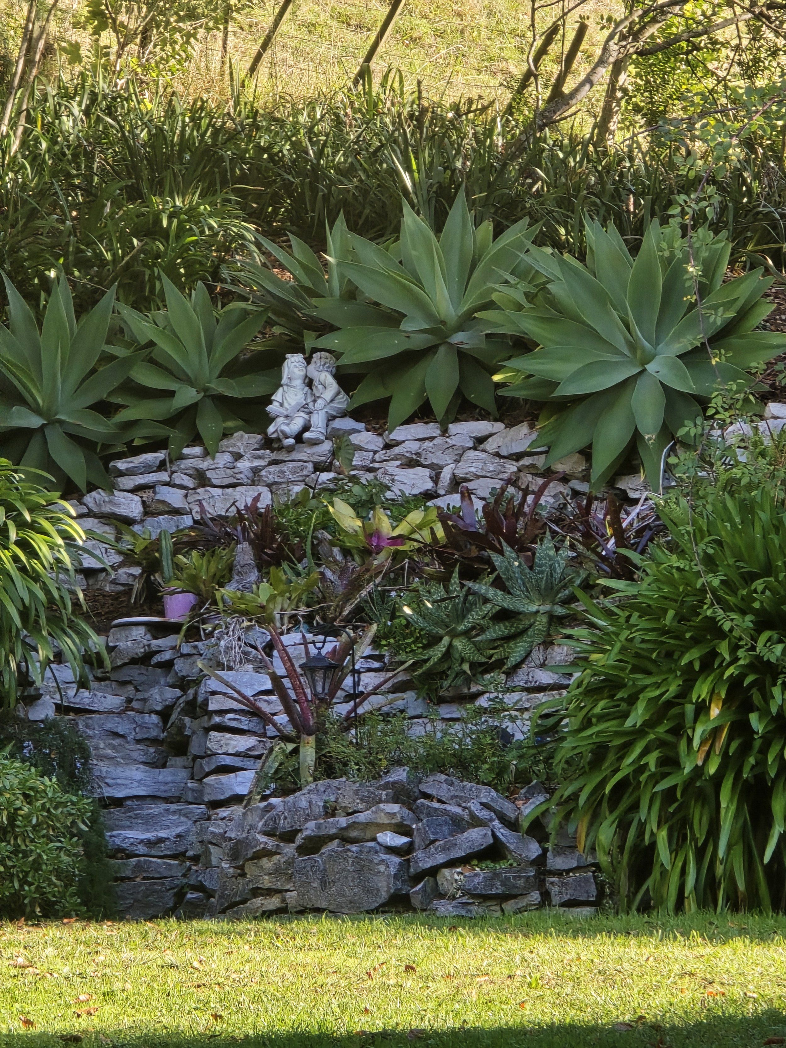 Bold structural Plants for an all Year Round Display