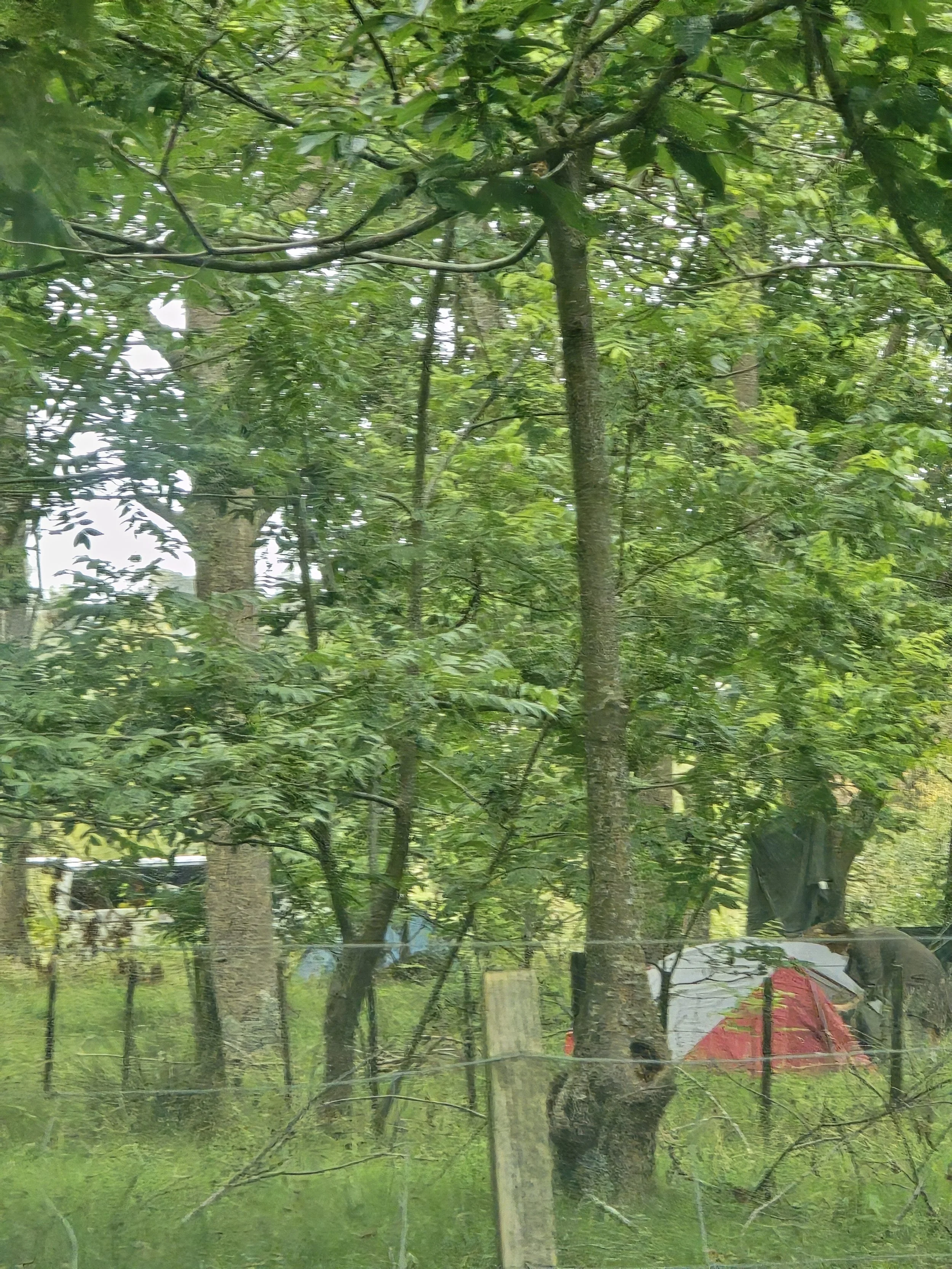 A Retreat with Wild Studio