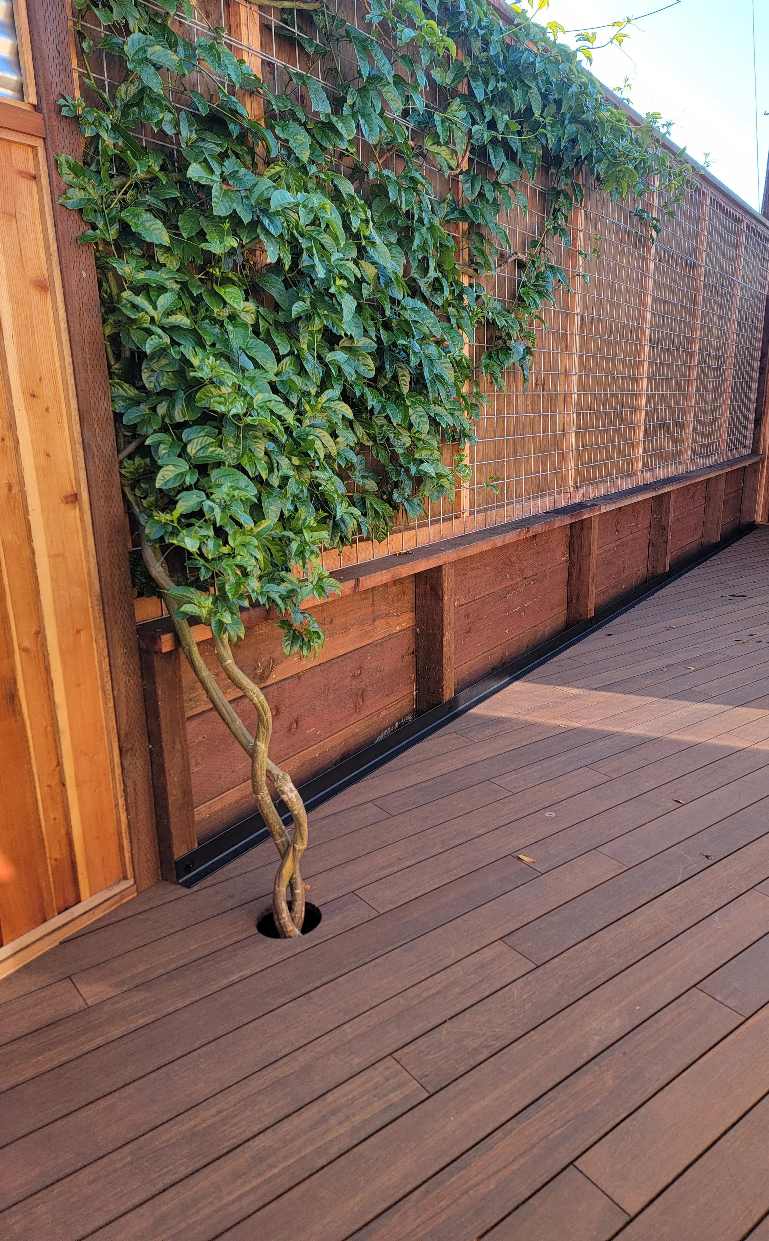 Luxury hardwood deck designed for natural outdoor living with warm material tones and architectural detailing.