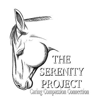 The Serenity Project