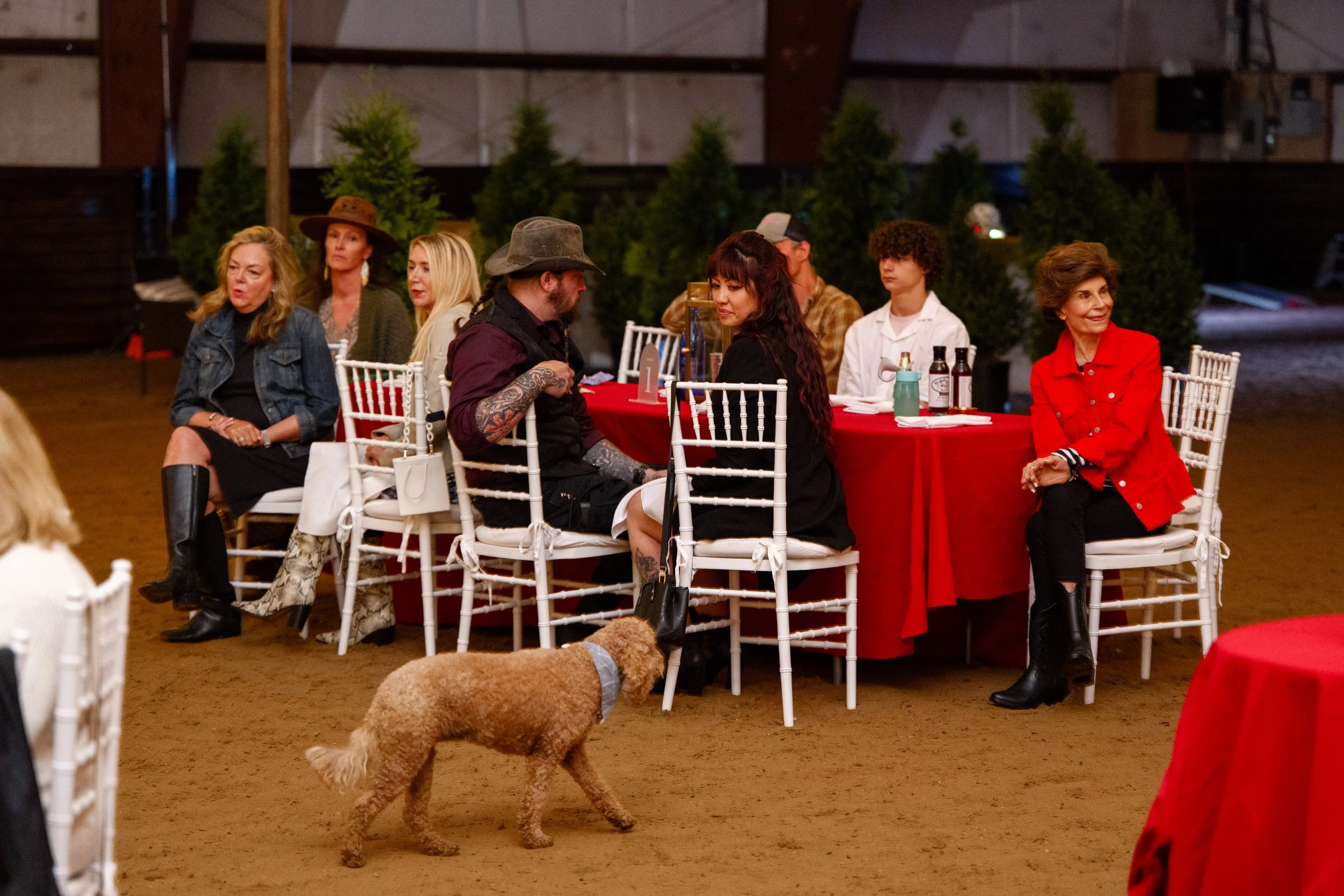 Serenity 2025 Fundraiser-612-sm.jpg