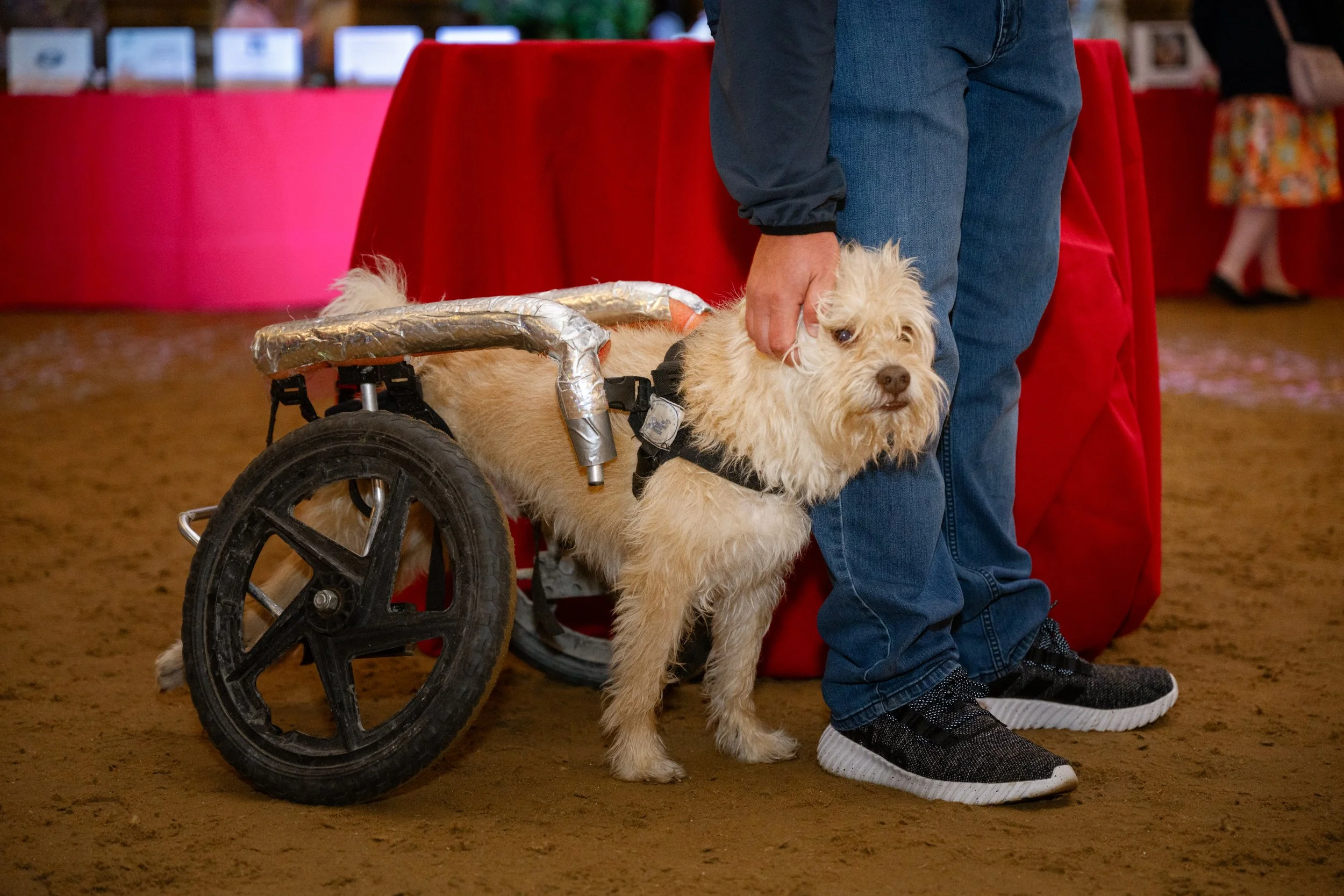 Serenity 2025 Fundraiser-327-sm.jpg