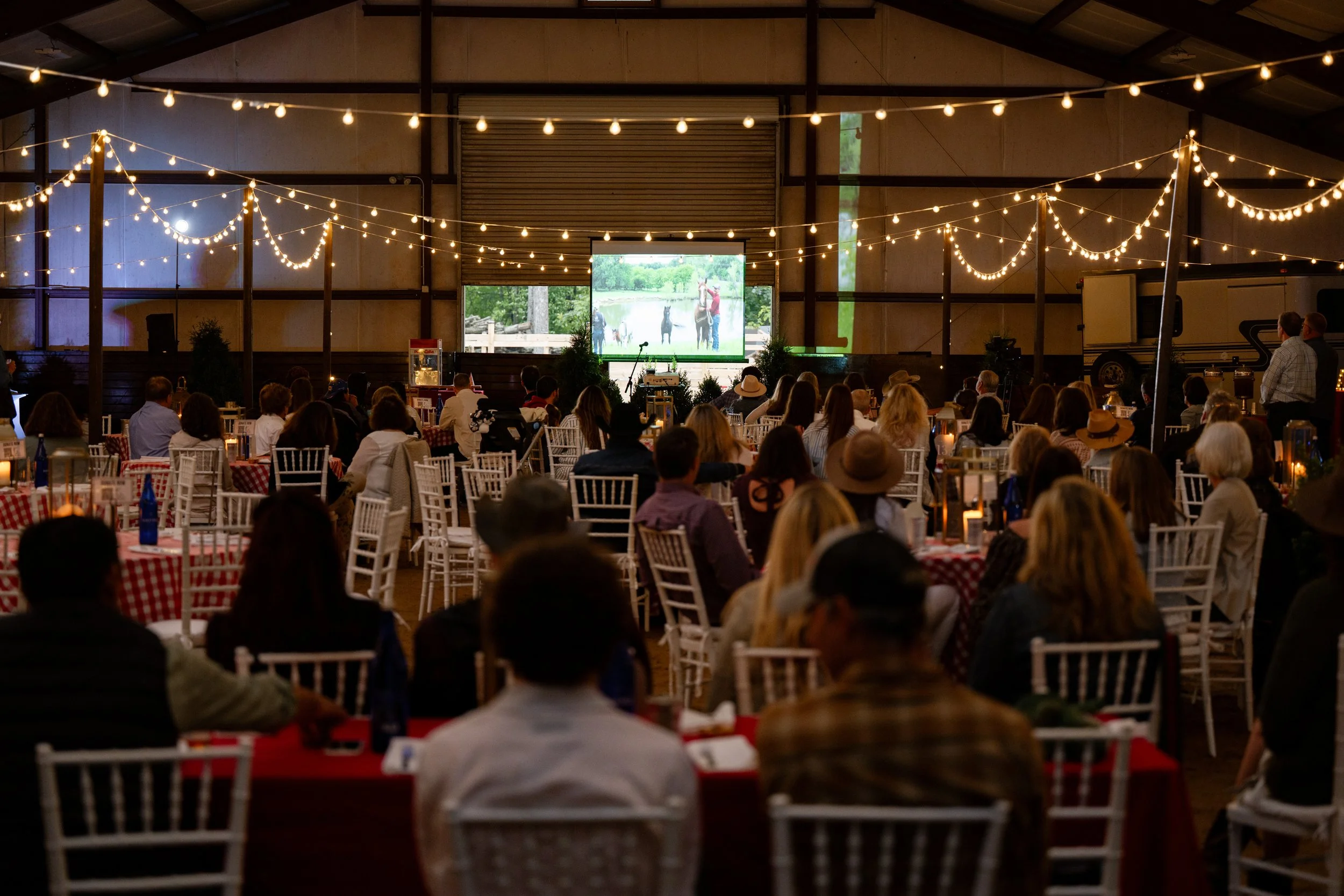 Serenity 2025 Fundraiser-430-sm.jpg