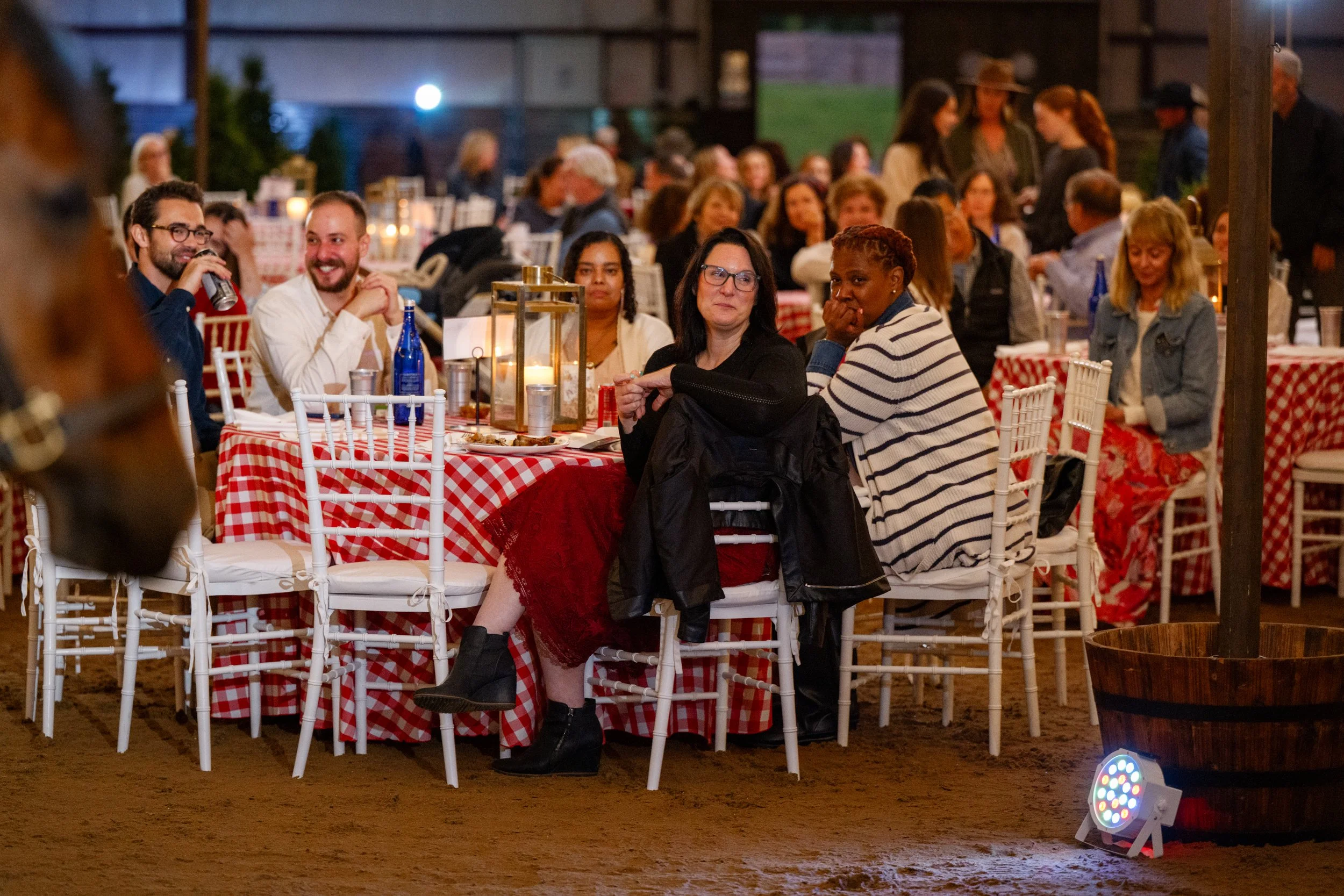 Serenity 2025 Fundraiser-695-sm.jpg