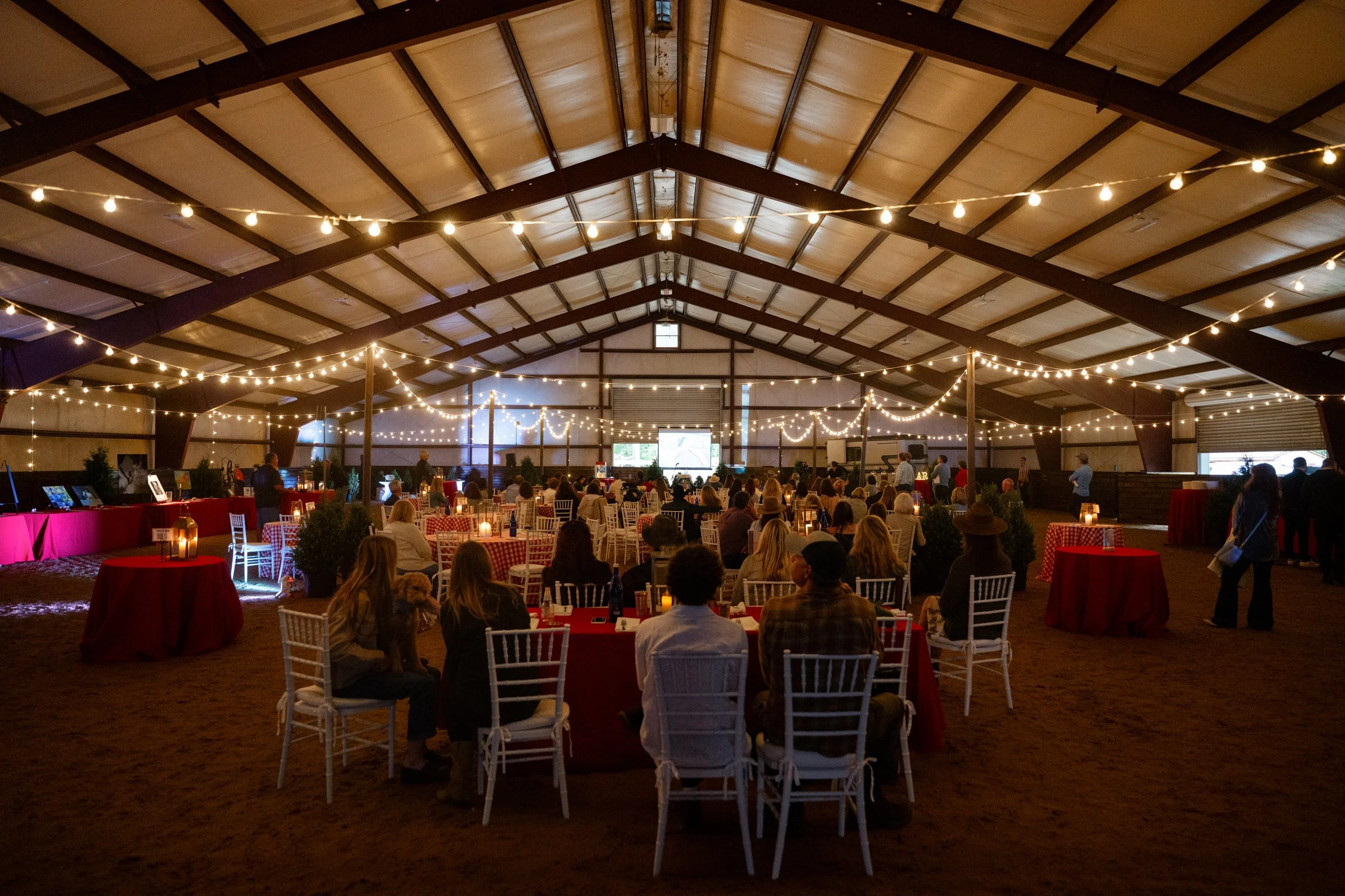 Serenity 2025 Fundraiser-465-sm.jpg