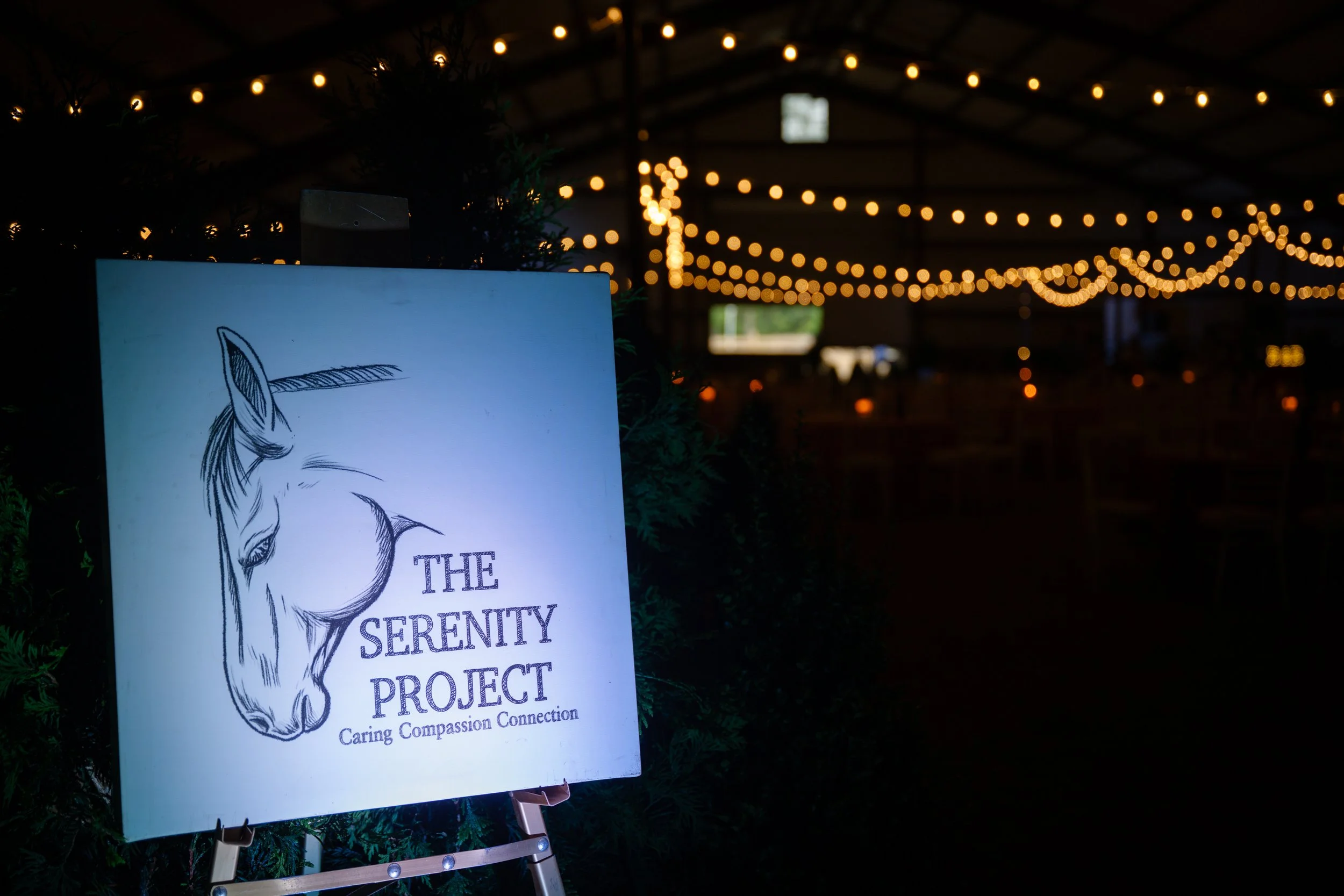 Serenity 2025 Fundraiser-100-sm.jpg
