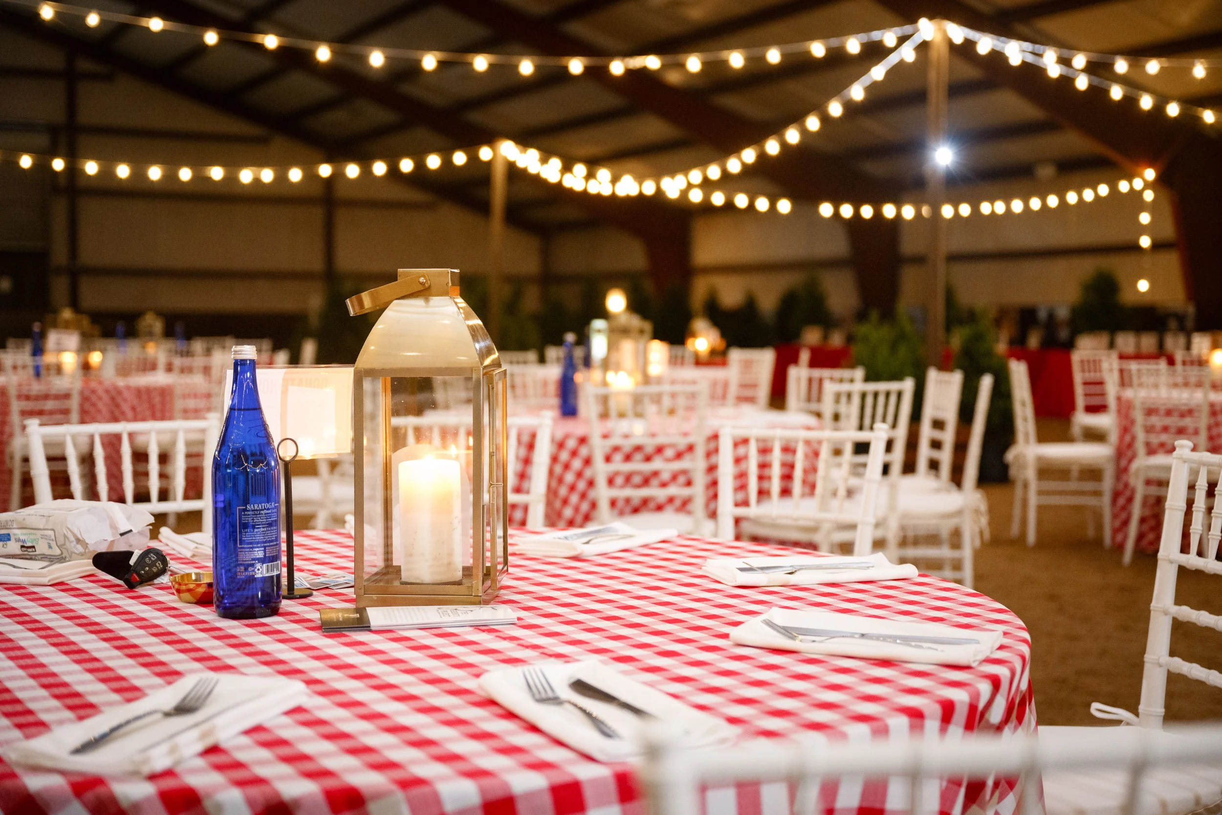 Serenity 2025 Fundraiser-015-sm.jpg