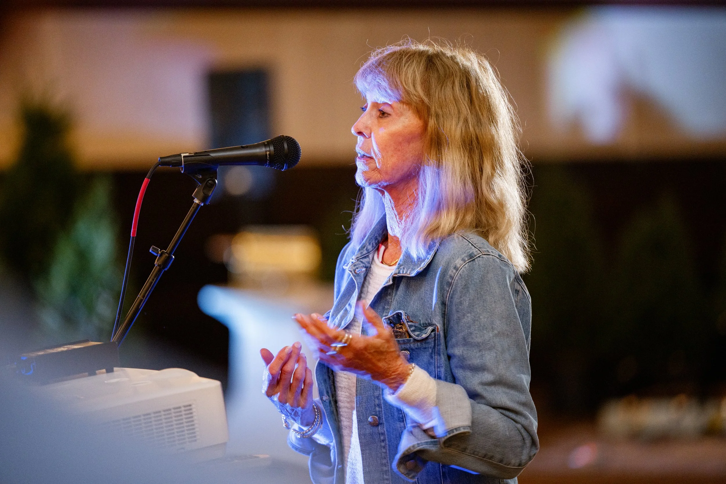 Serenity 2025 Fundraiser-505-sm.jpg