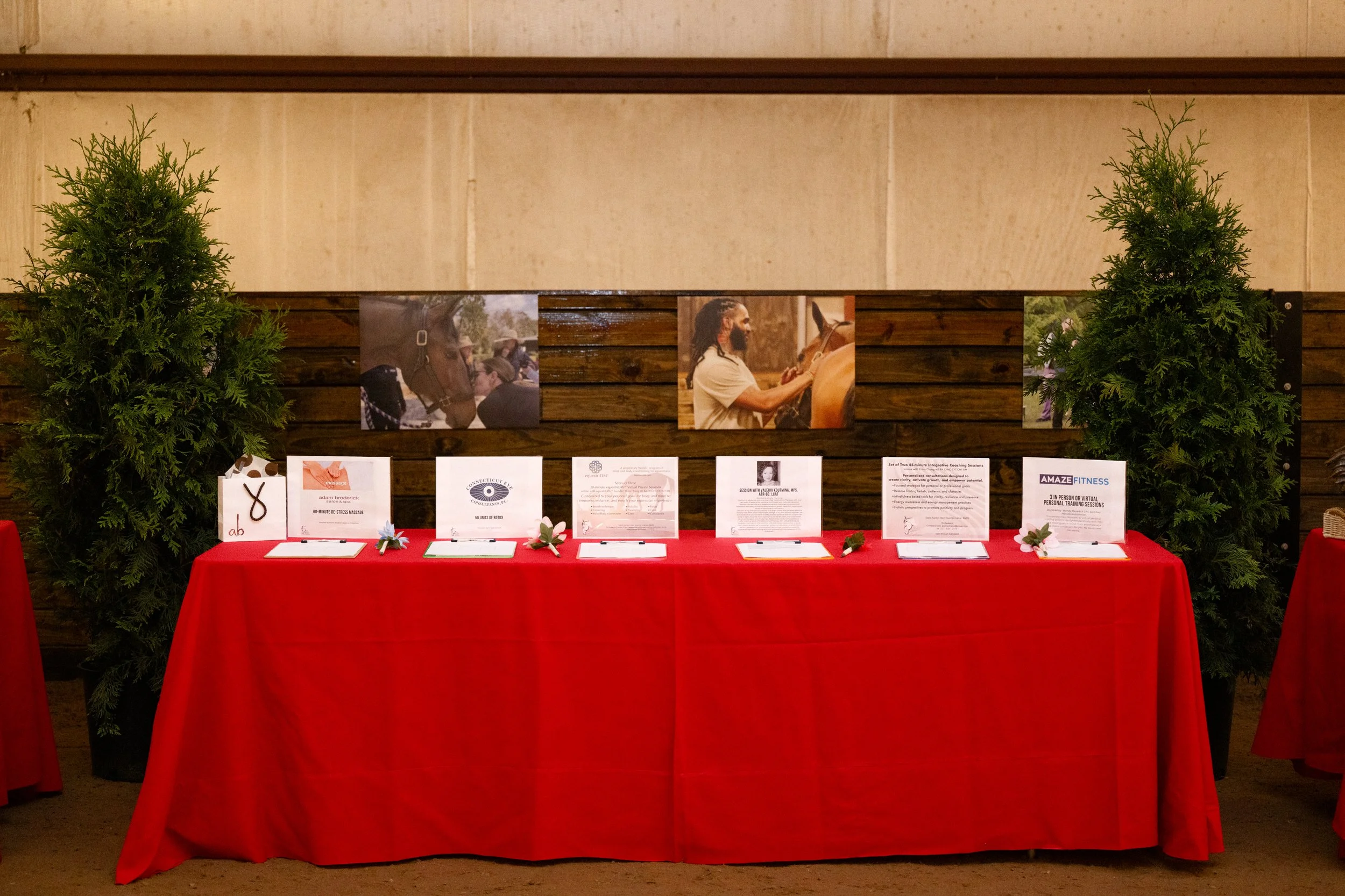 Serenity 2025 Fundraiser-032-sm.jpg
