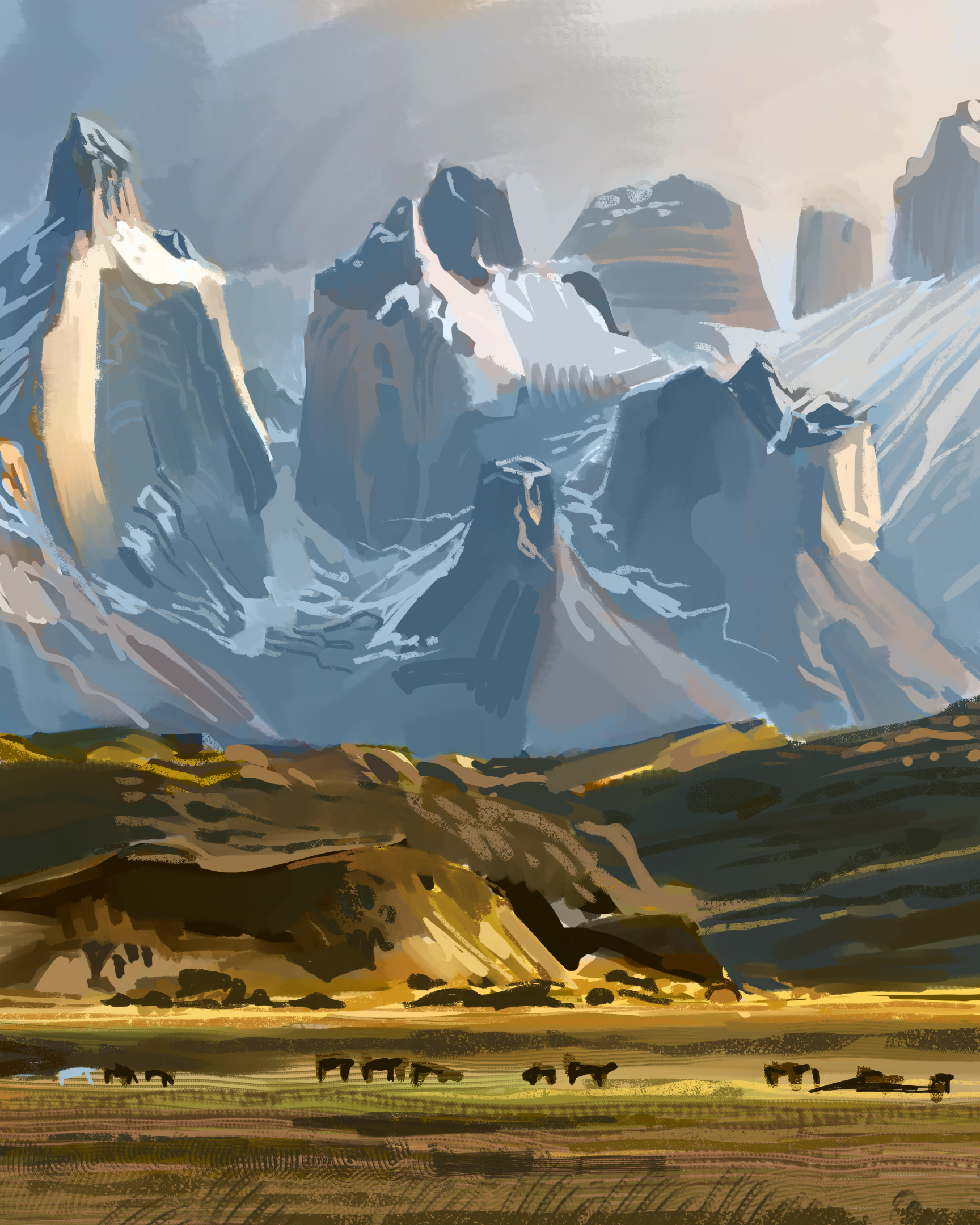 Study