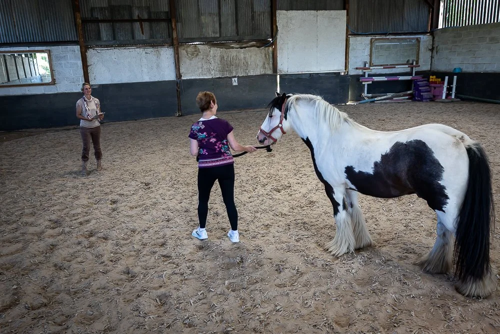 Horses -14.JPEG