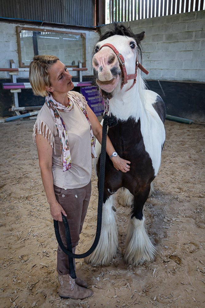 Horses-19.JPEG