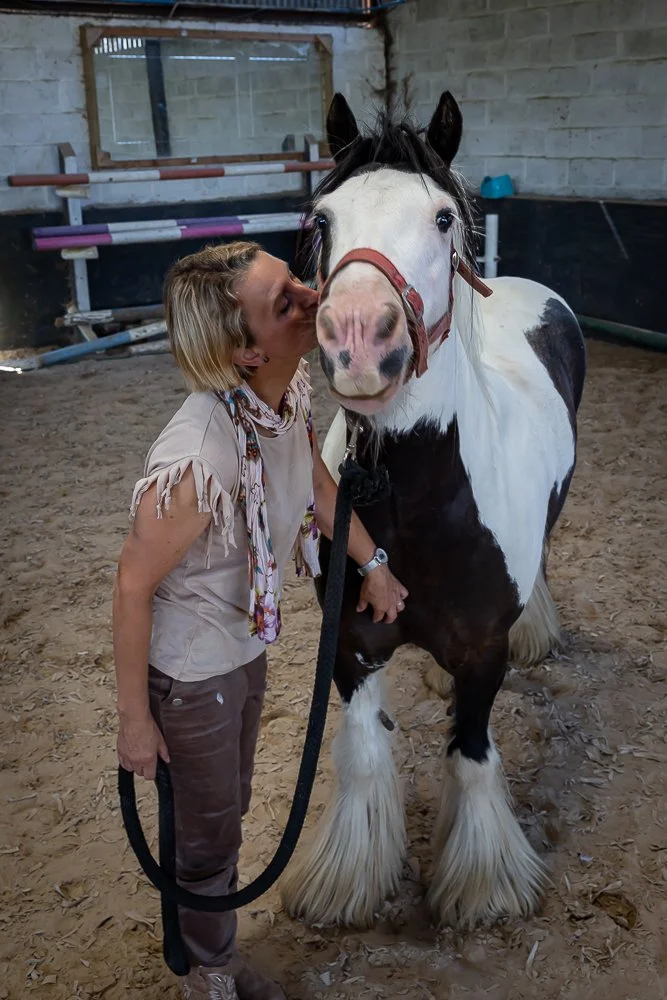Horses-20.JPEG