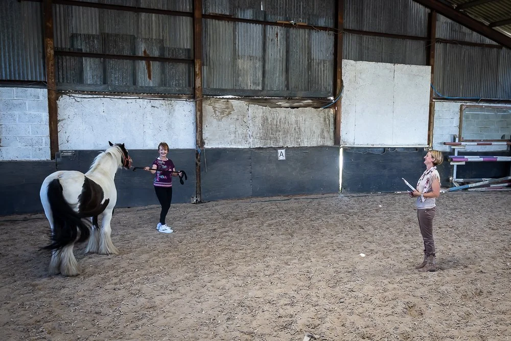 Horses-15.JPEG