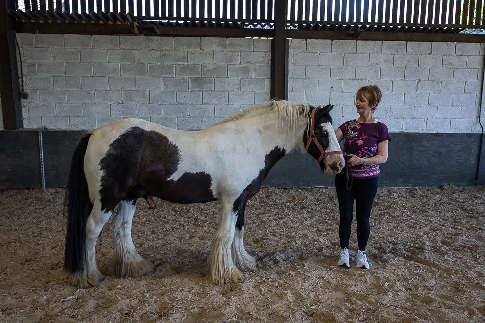 Horses -9.JPEG