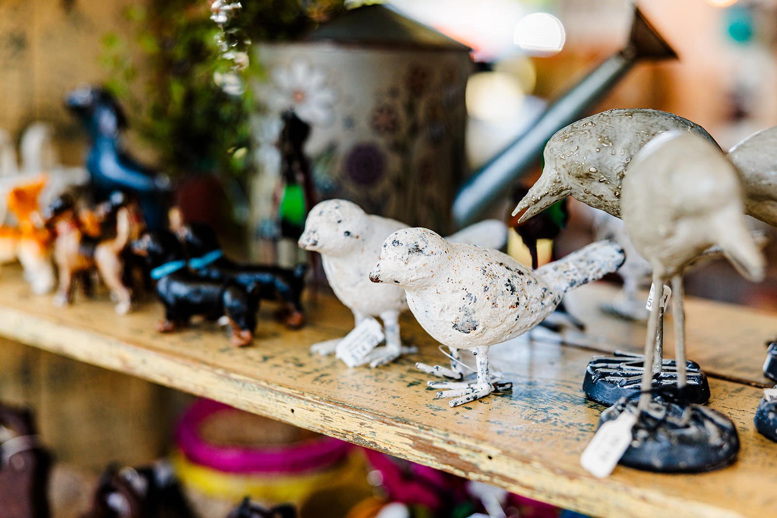 The Summer Market 2024-7.jpg