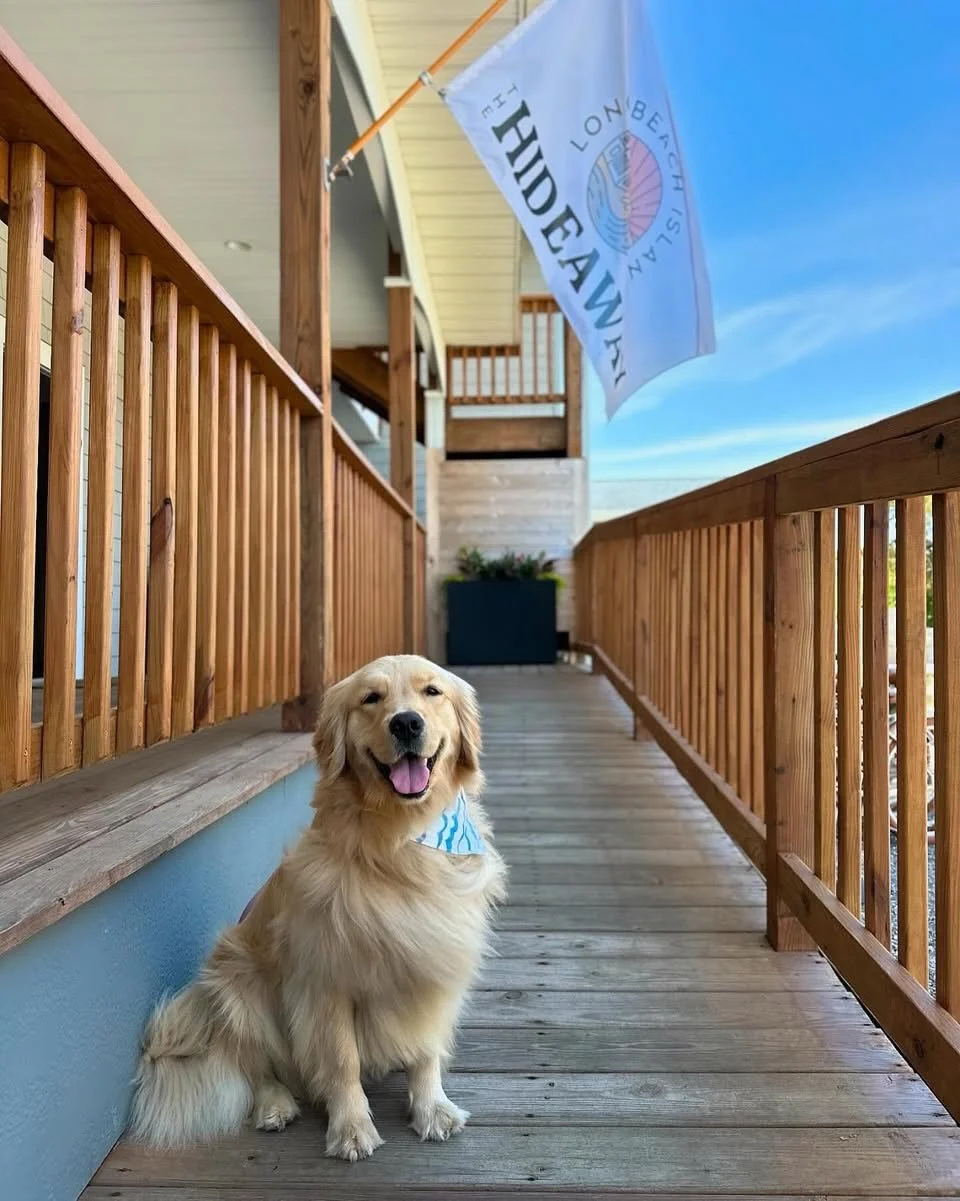 Counting down the days until our VIPs check back in. 🐾 AKA Haven, Truffle, Zoe, Doug, Ruby, Shelby &amp; friends.