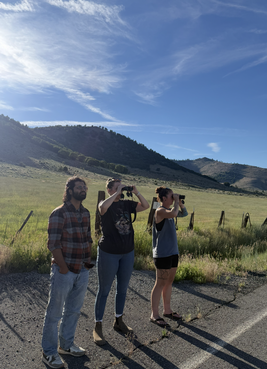CALIFORNIA WOLF RESEARCH WITH DR. ANNA DOTY &amp; OMAR KHAYAM