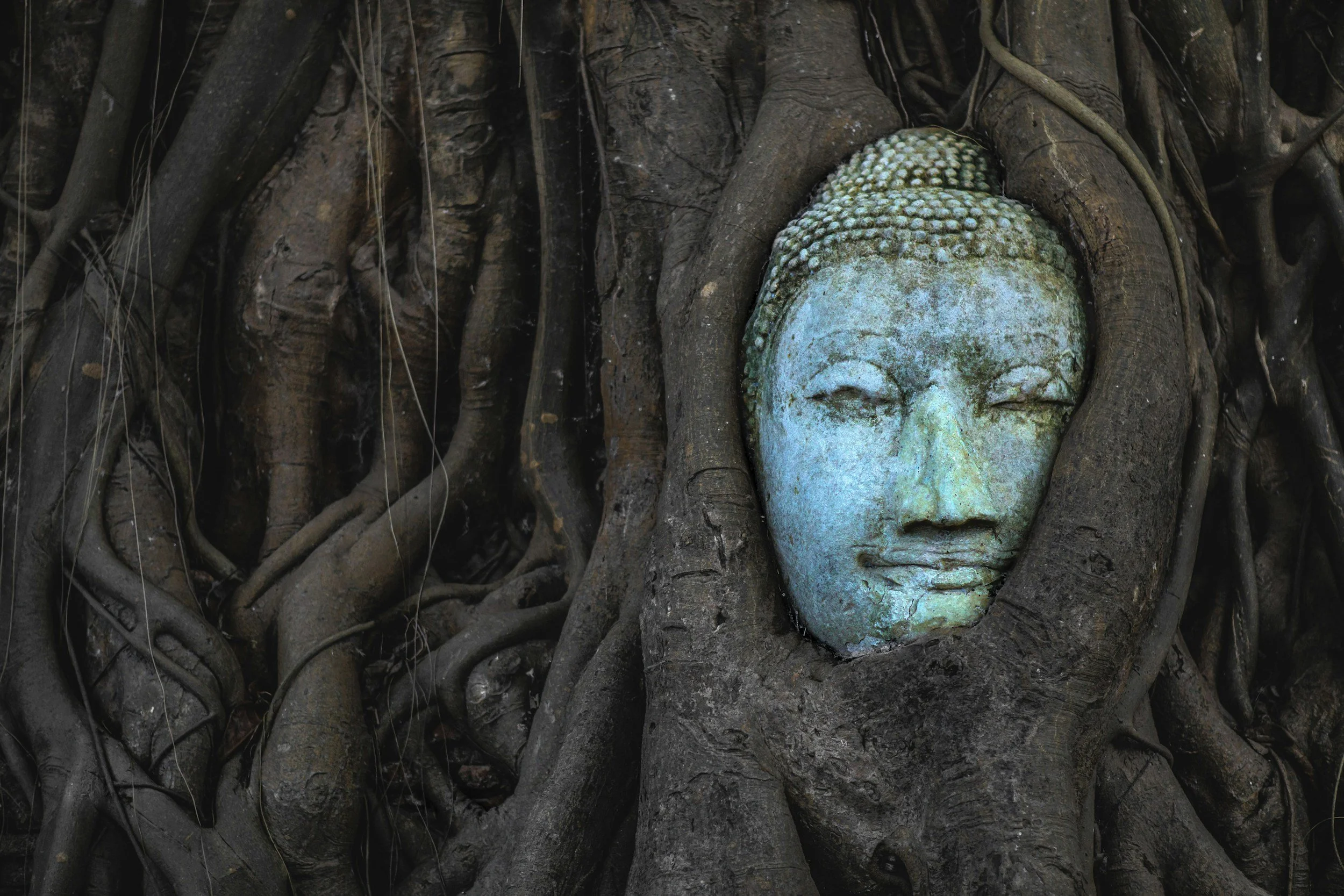 What to Lean On When There’s No Original Buddhism