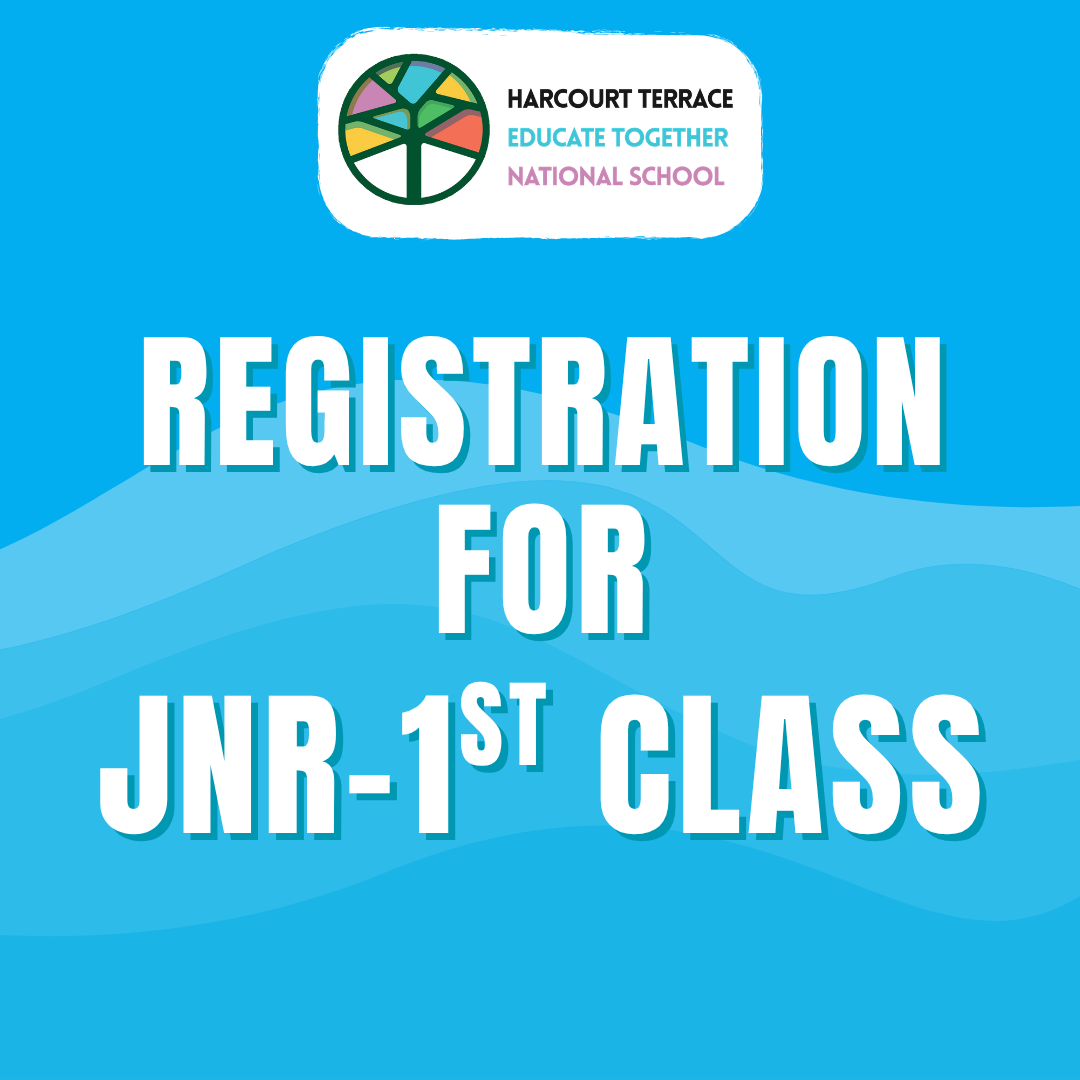 Junior - 1st Class - Term Options