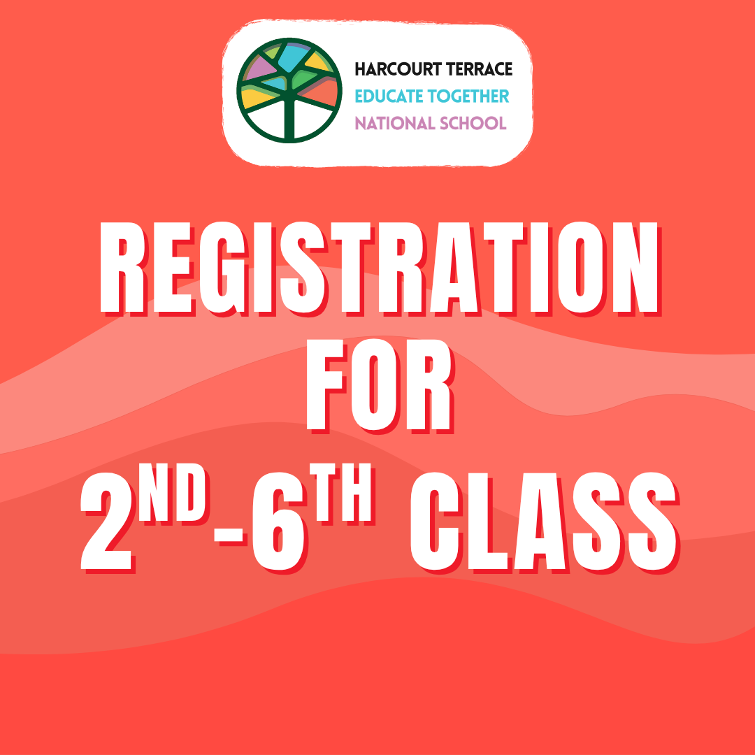 2nd - 6th Class - Term Options
